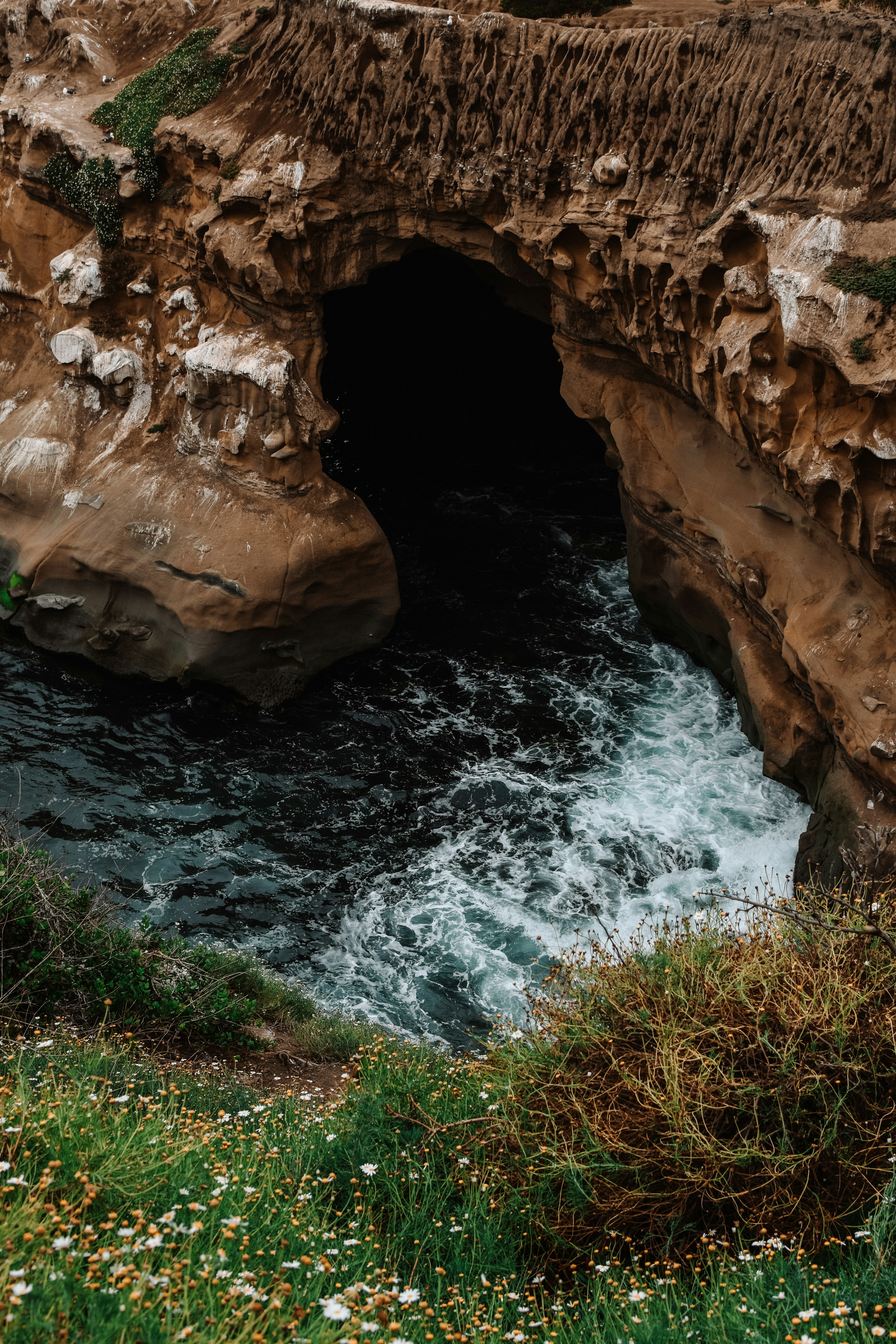 Photo by meganmajocha