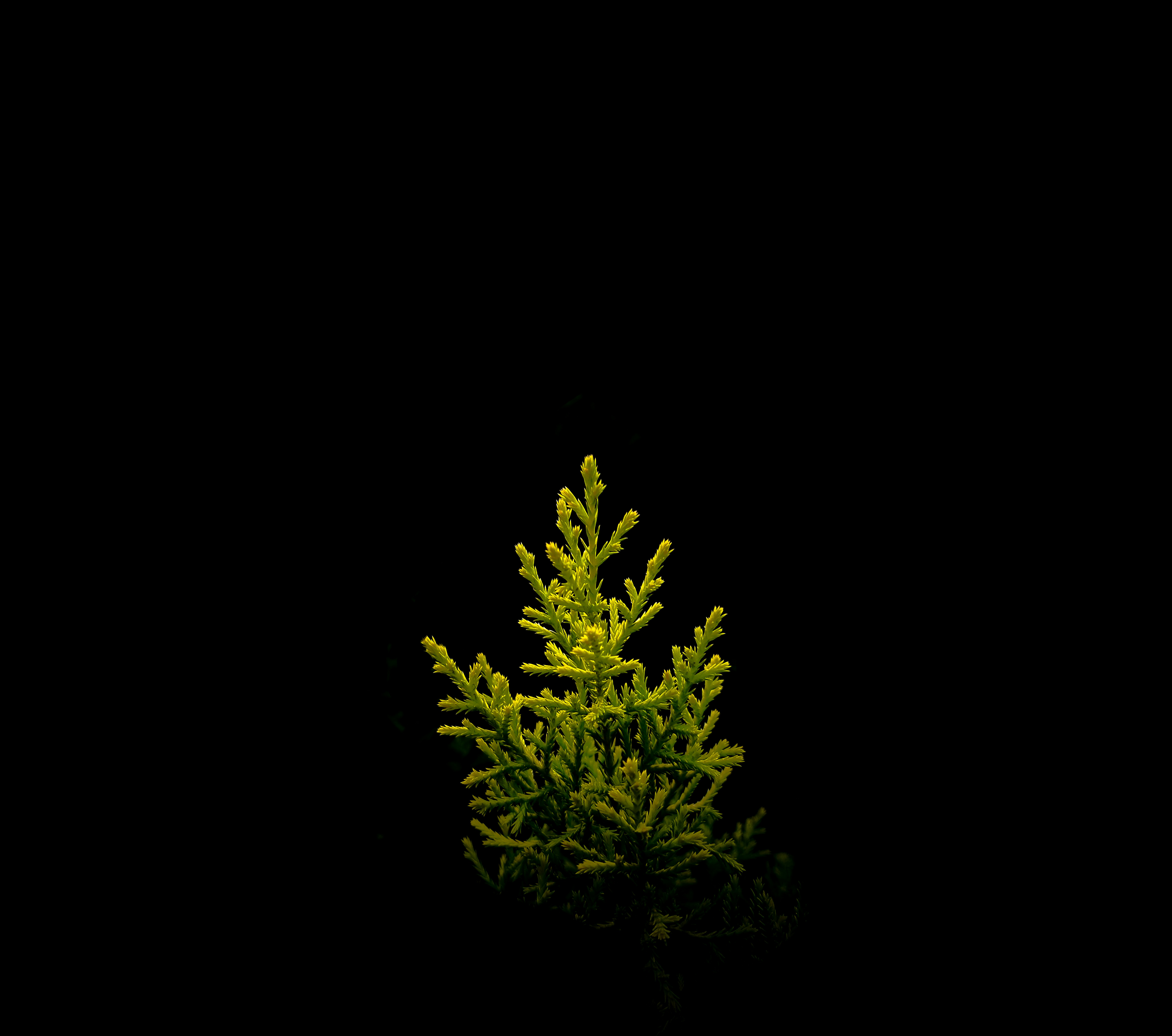 Photo by omkar_abhale