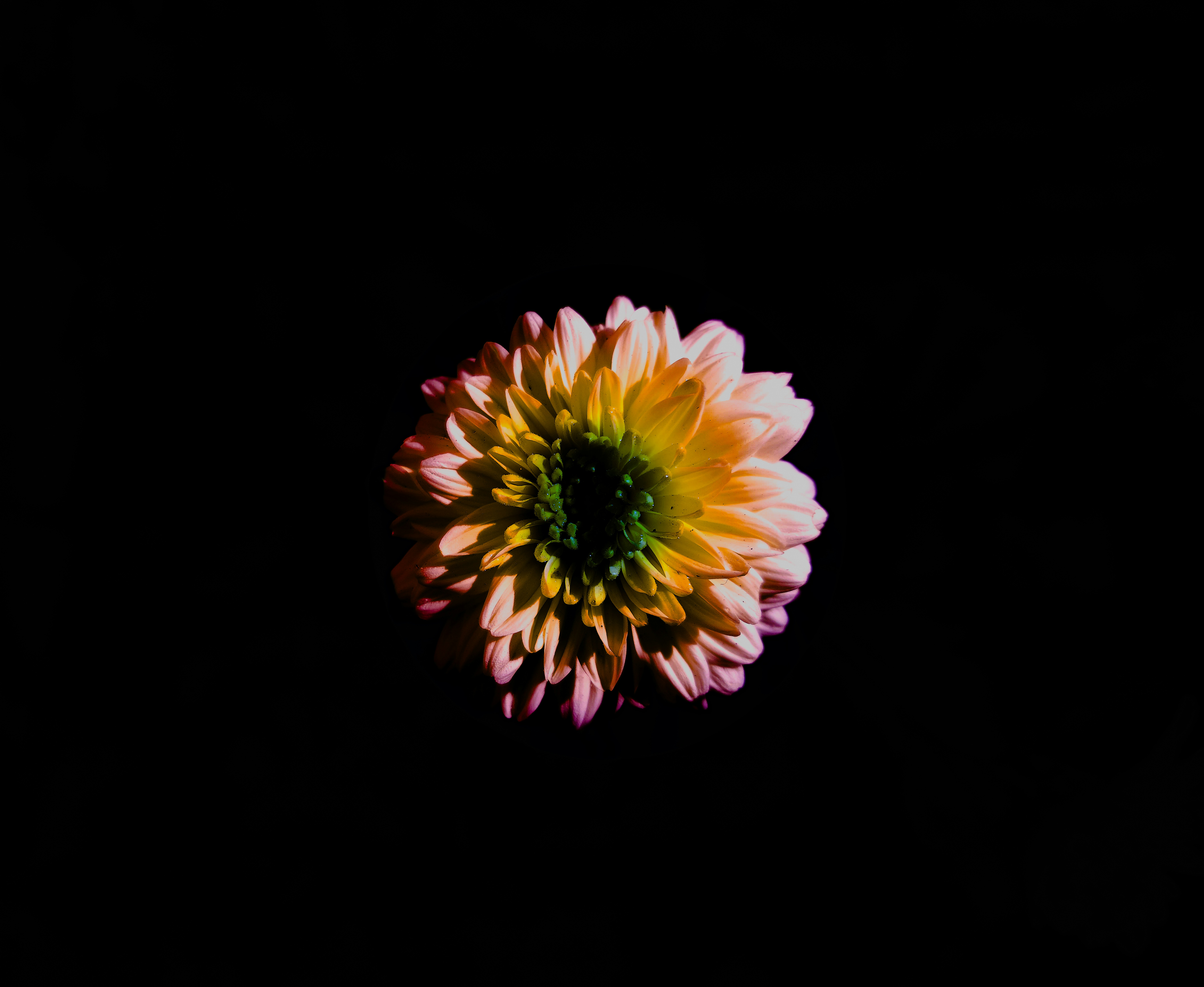 Photo by omkar_abhale