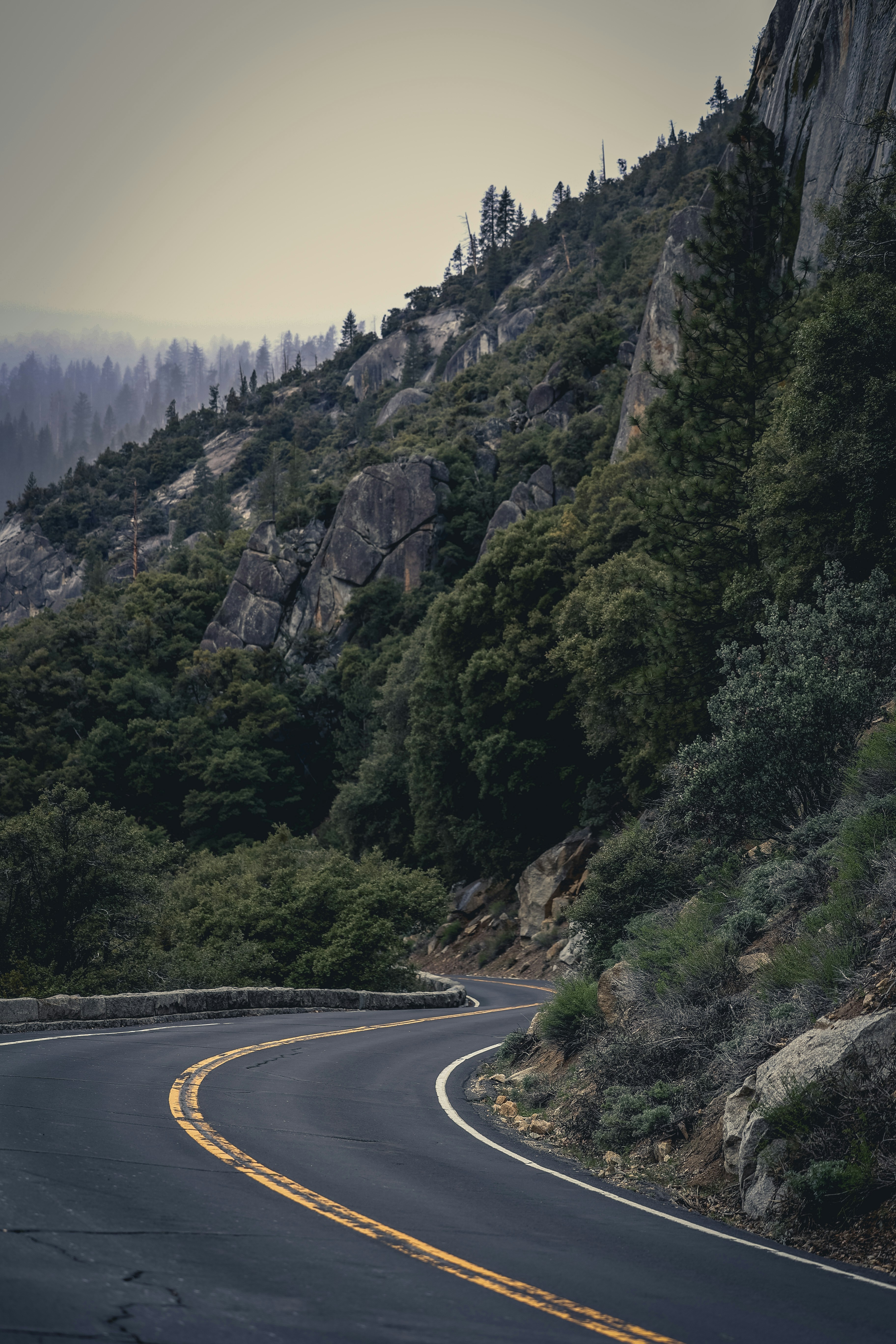 Photo by gibblesmash139