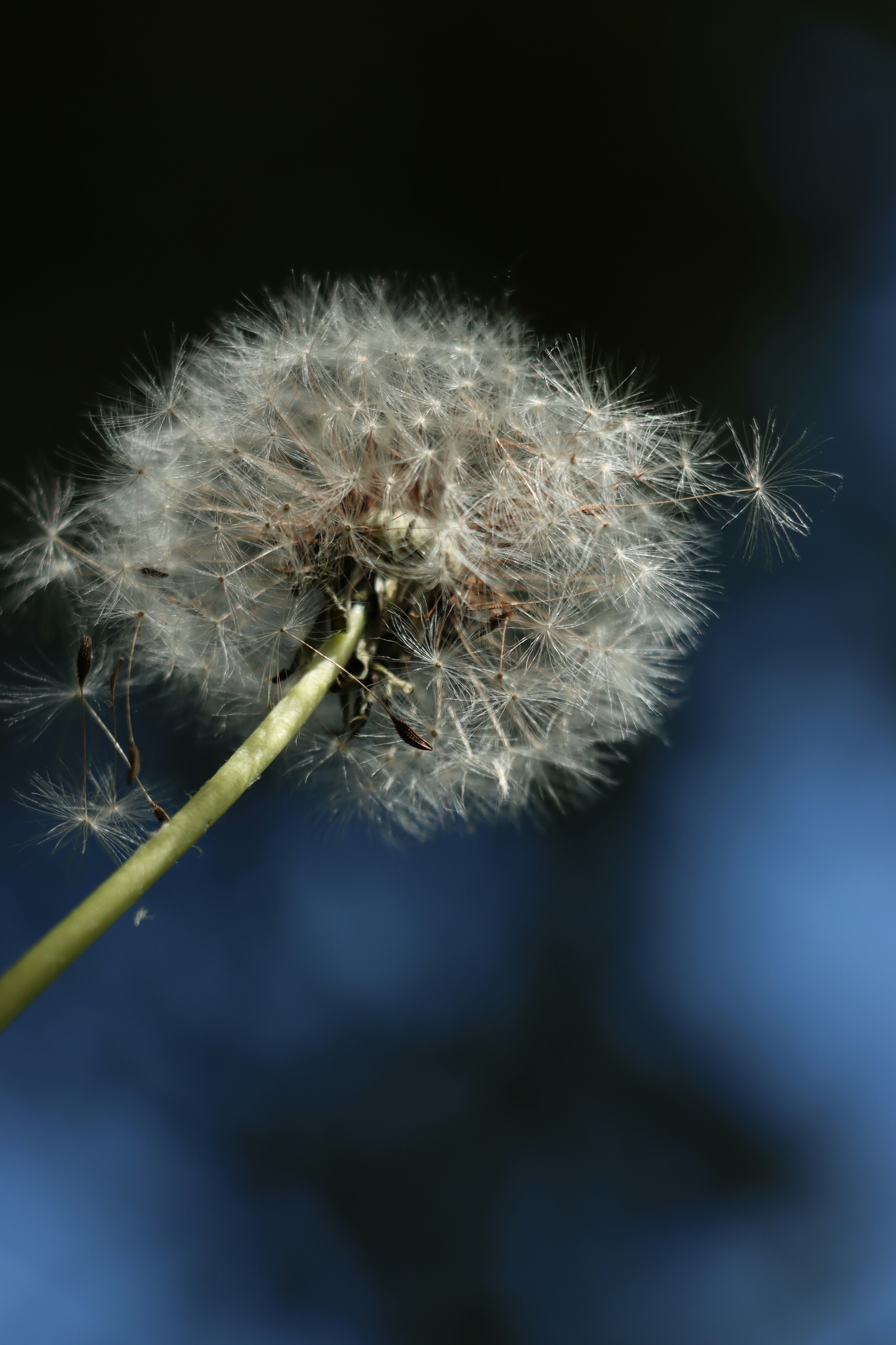 Photo by irina_chishkova