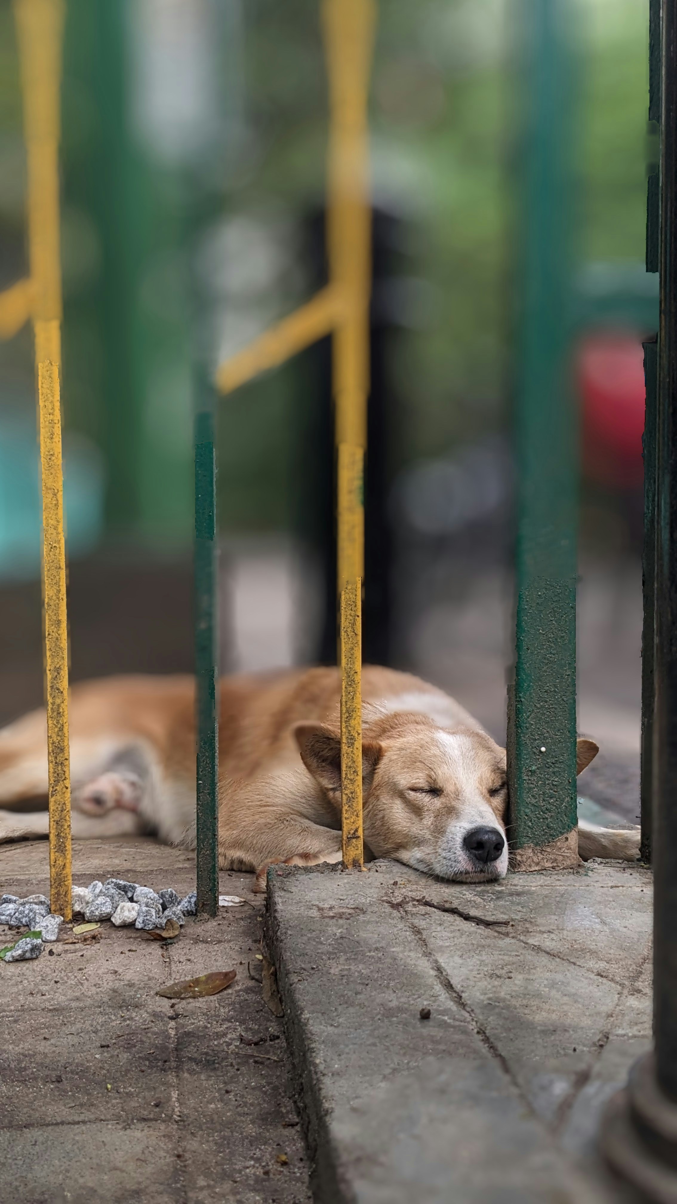 Photo by sravanimothe