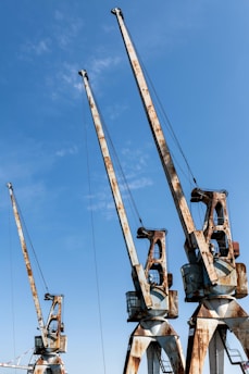 a group of cranes sitting on top of a beach