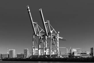 a black and white photo of cranes in a harbor