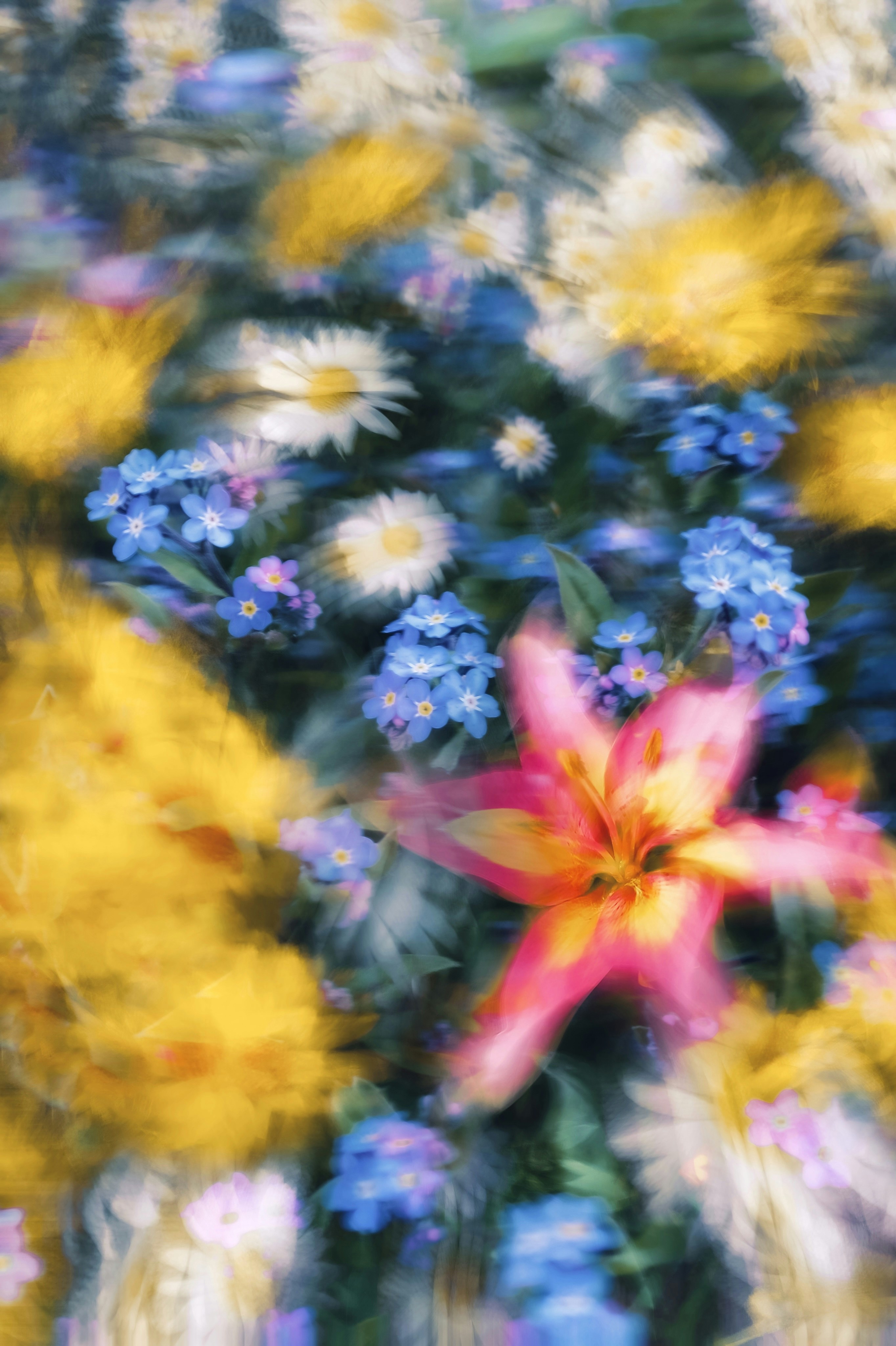 Photo by eugene_golovesov