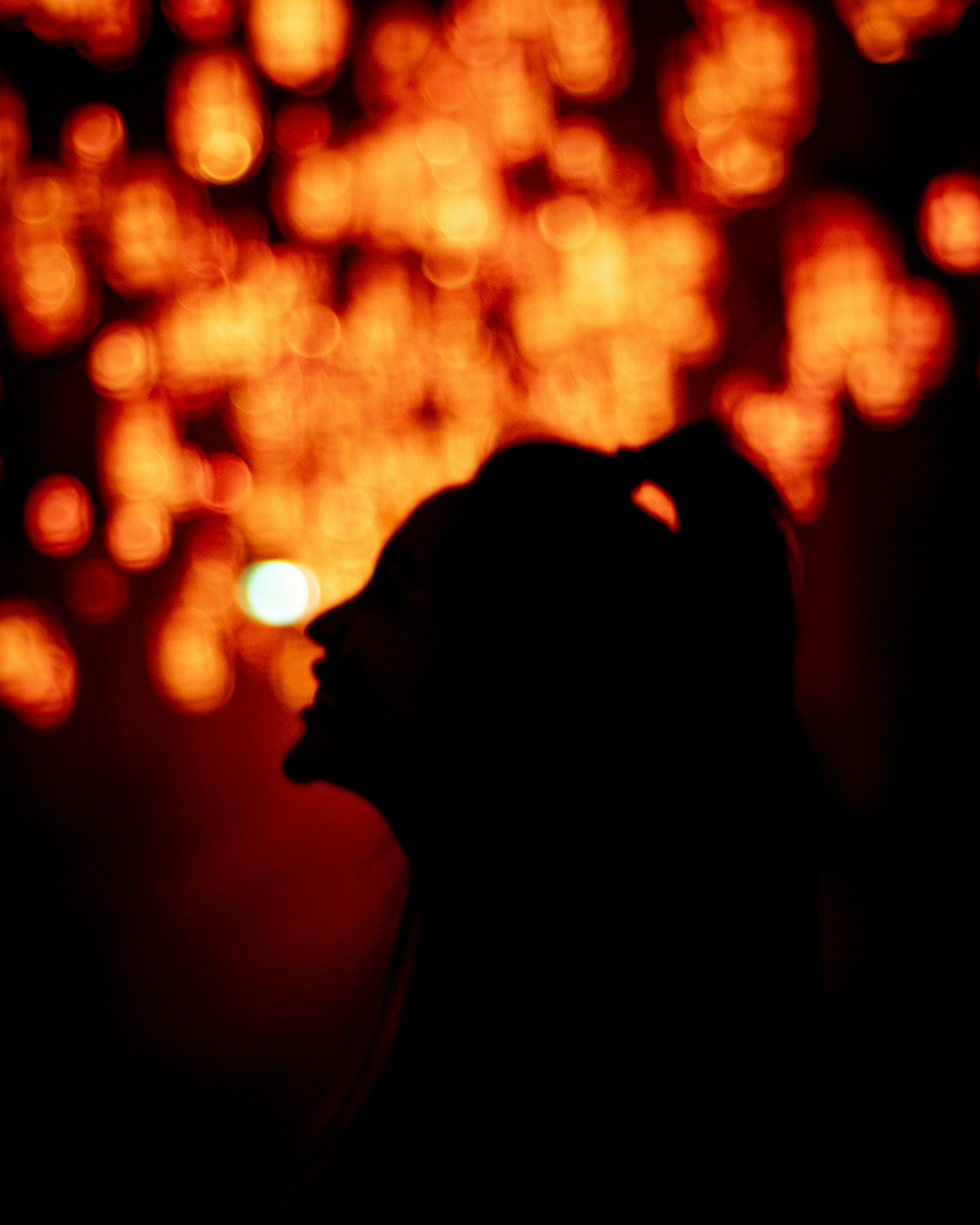 Photo by justgettinglost