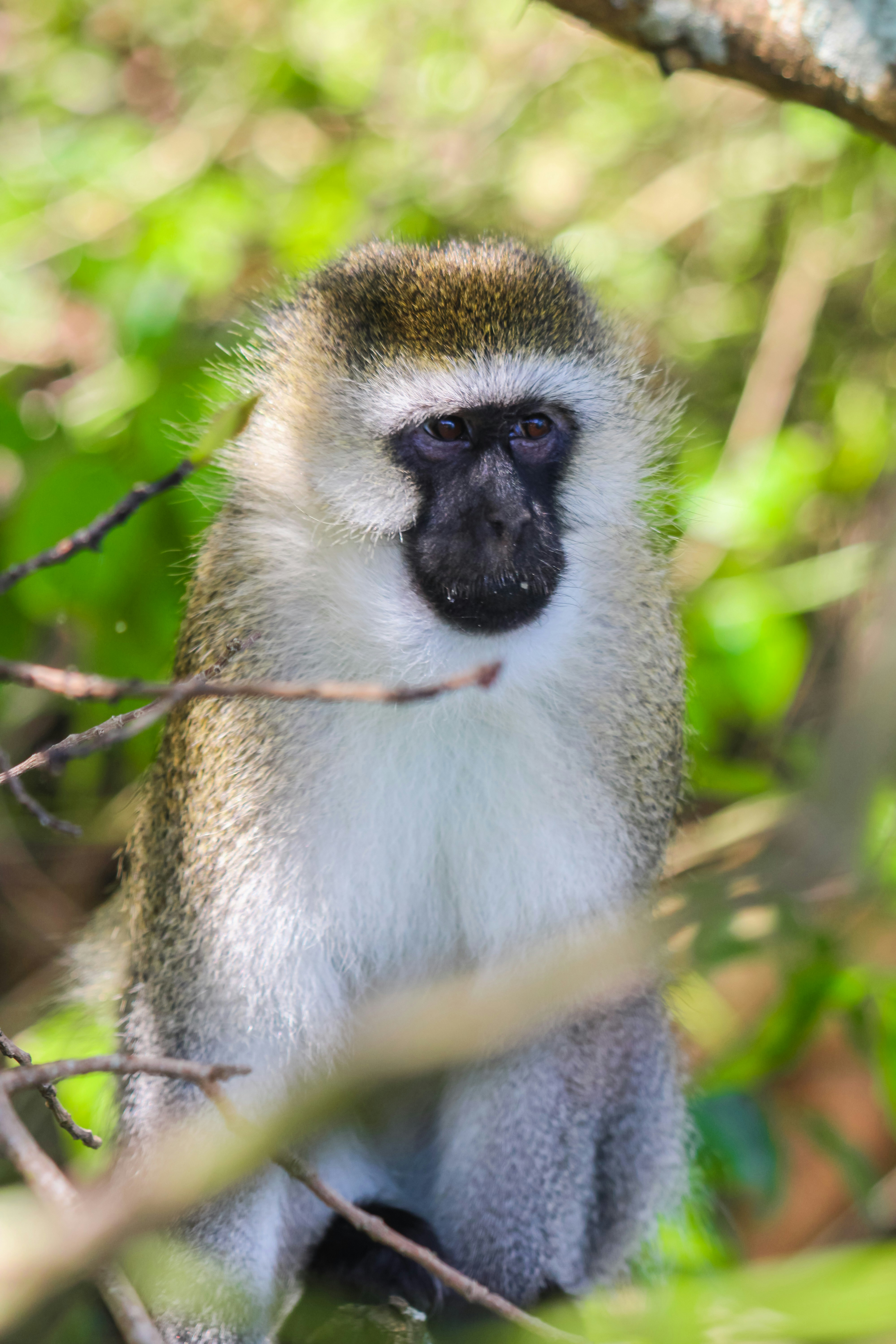 Photo by ankit_pai_n