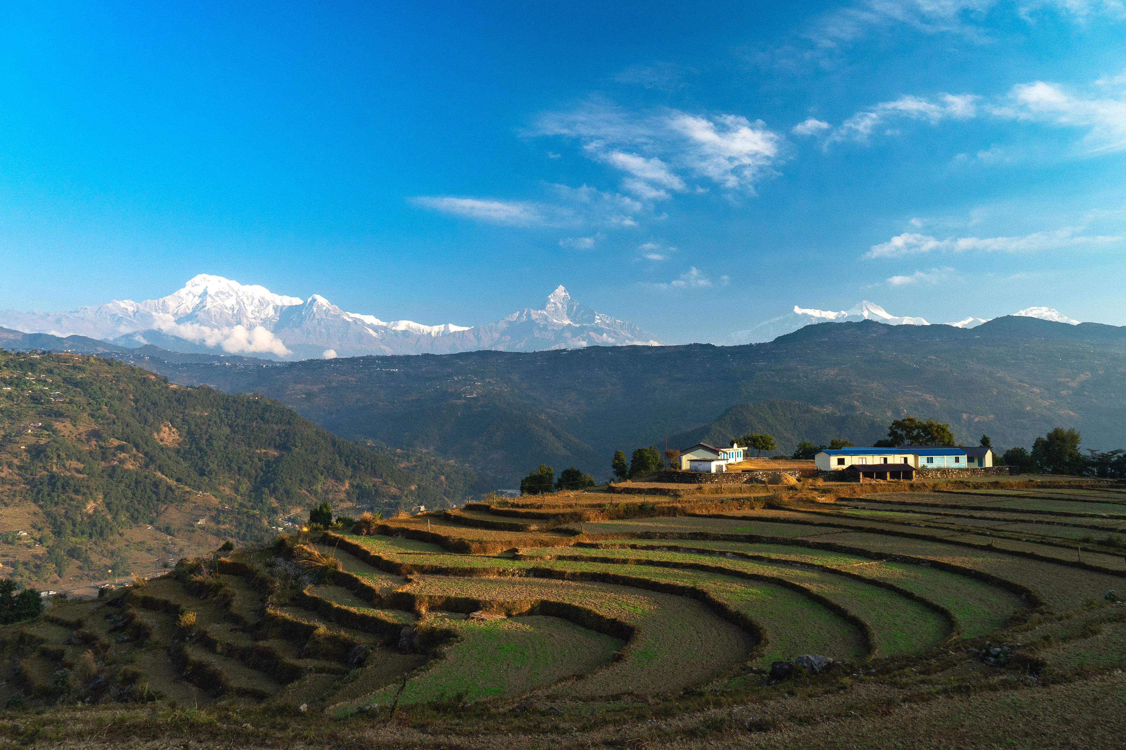 Terraced fields and houses on a hillside with the Annapurna range behind