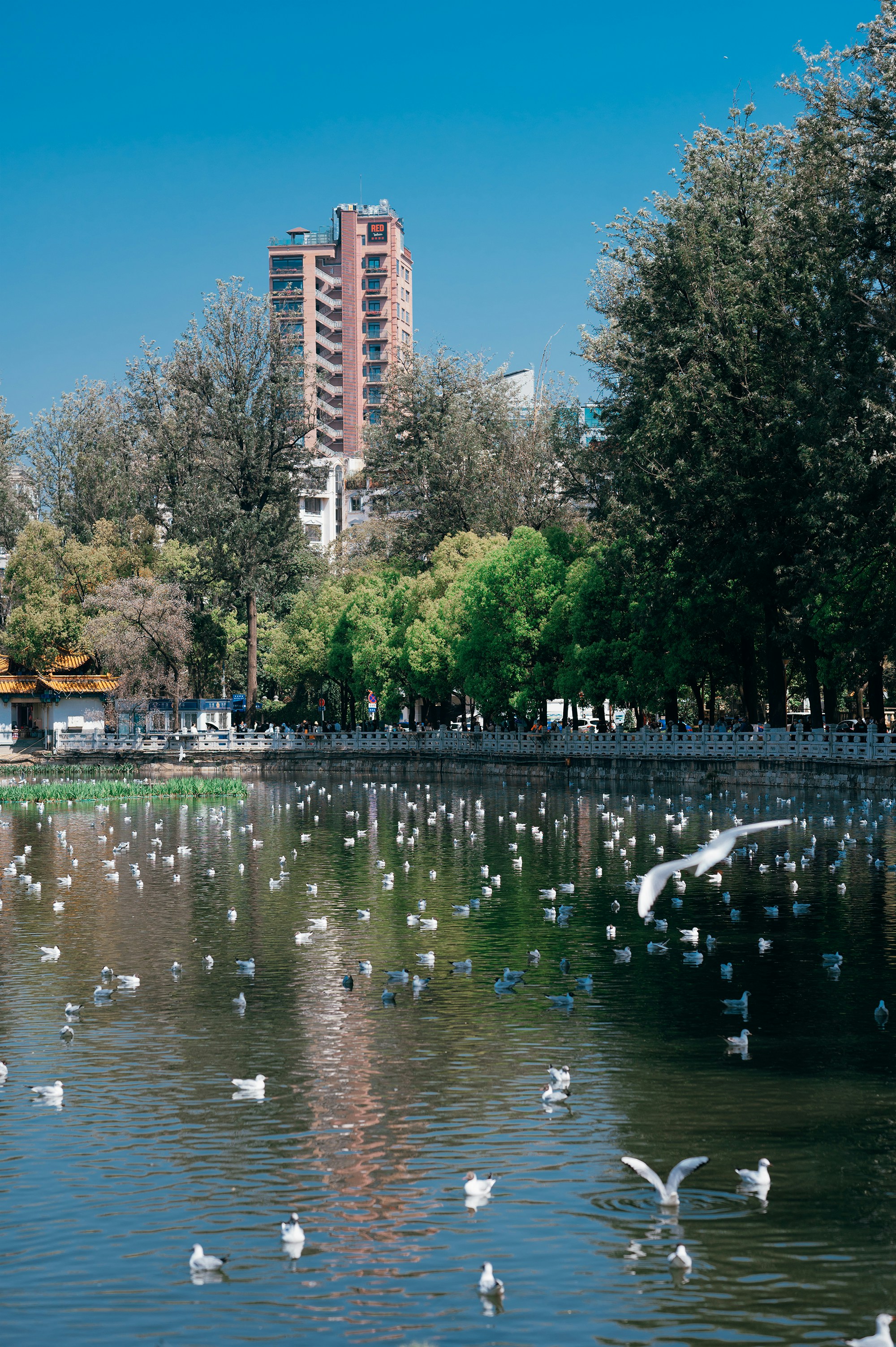 Tehran Birds Garden