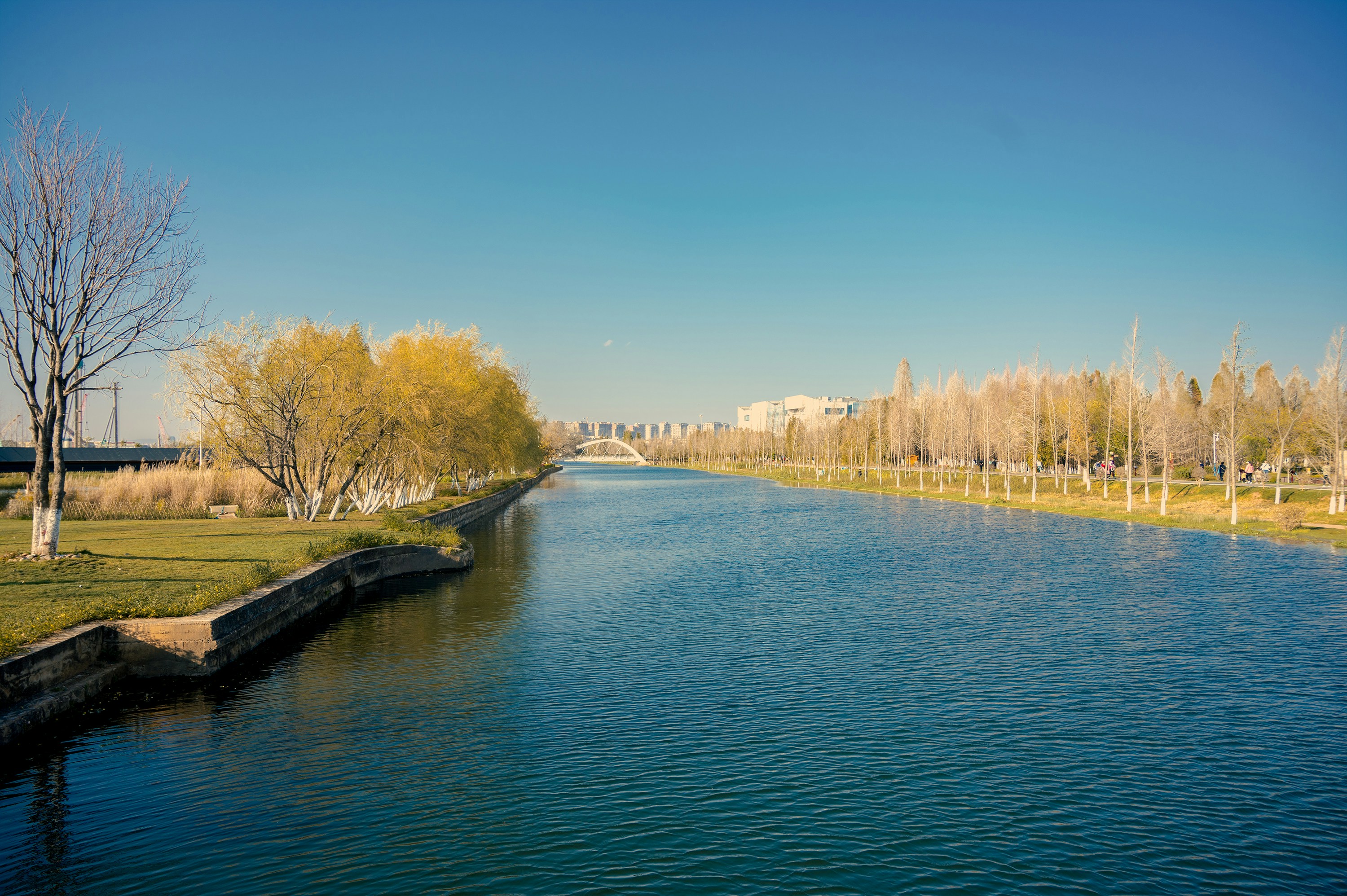 Photo by vincent_tint