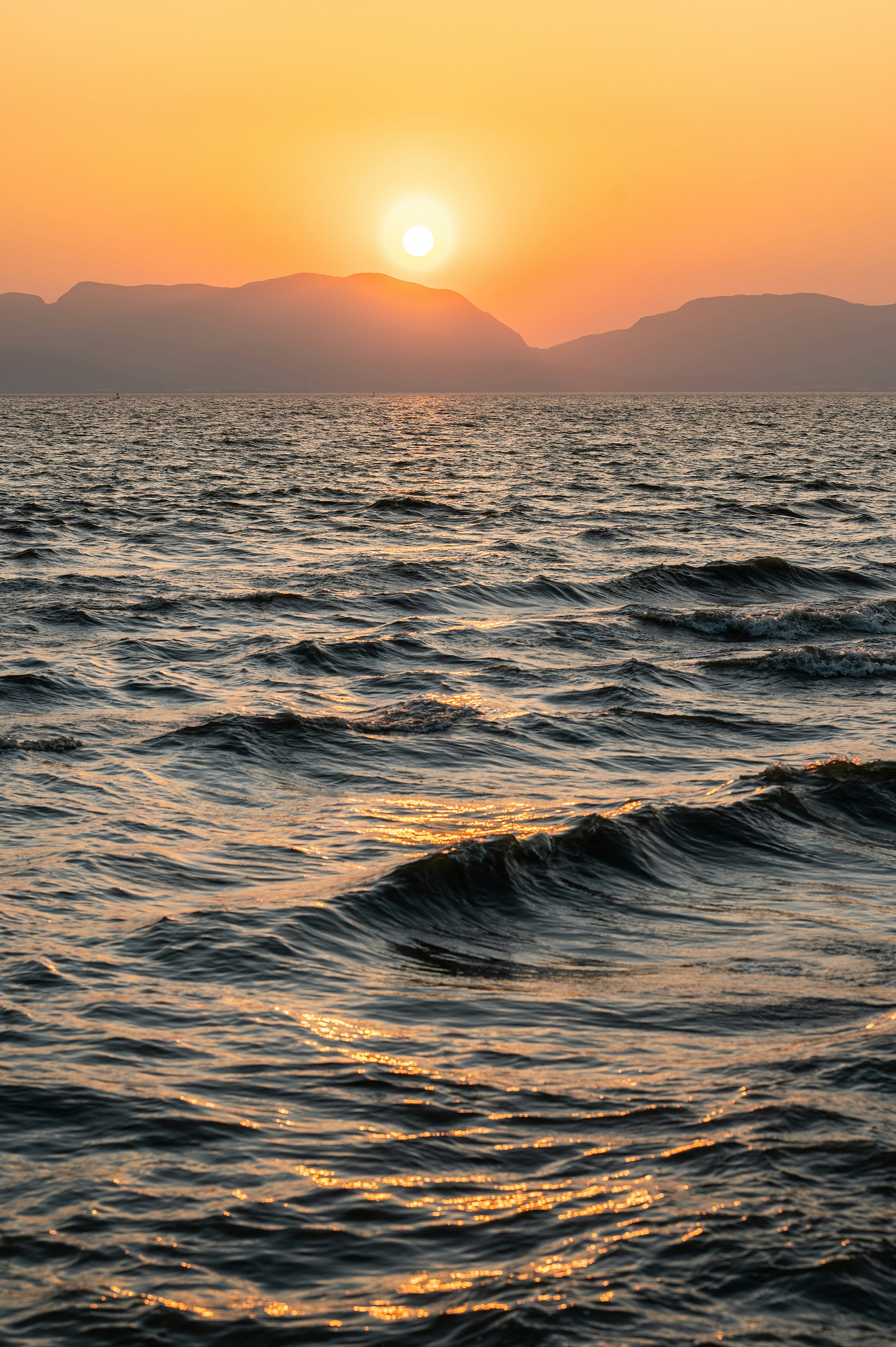 Photo by vincent_tint