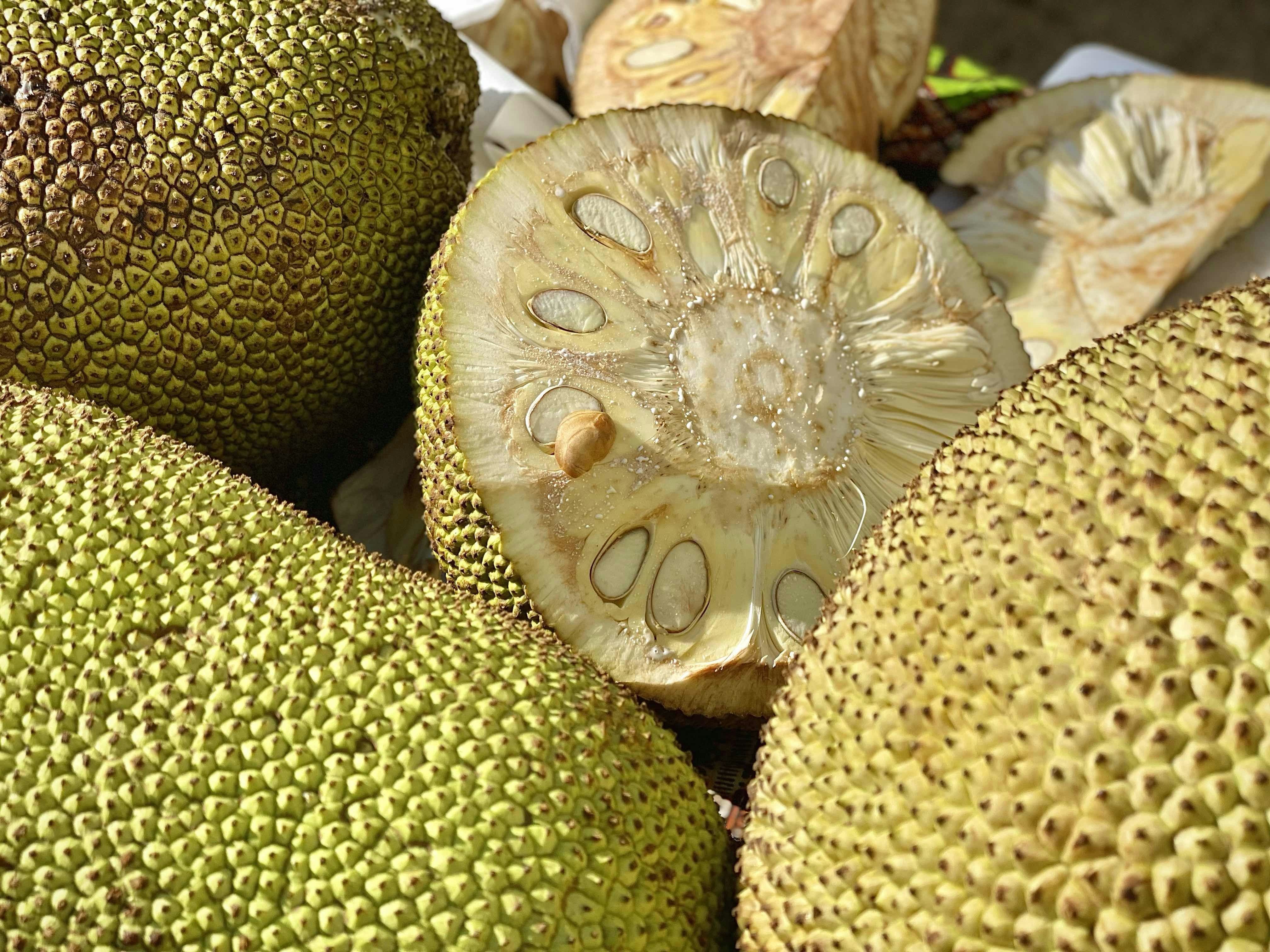 One Fruit, Ten Kitchens: How India Cooks Jackfruit From Kashmir To Kerala