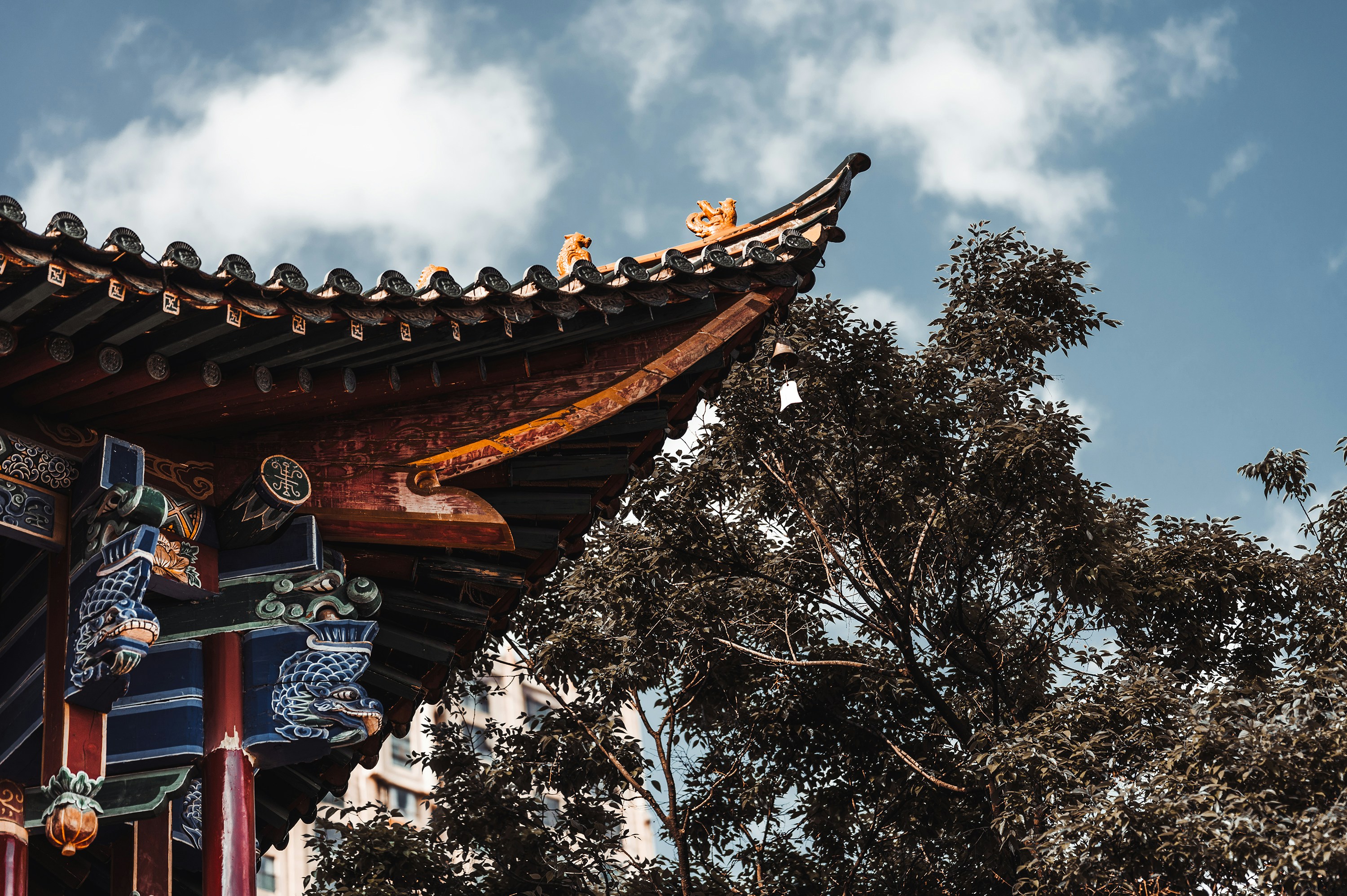 Photo by vincent_tint