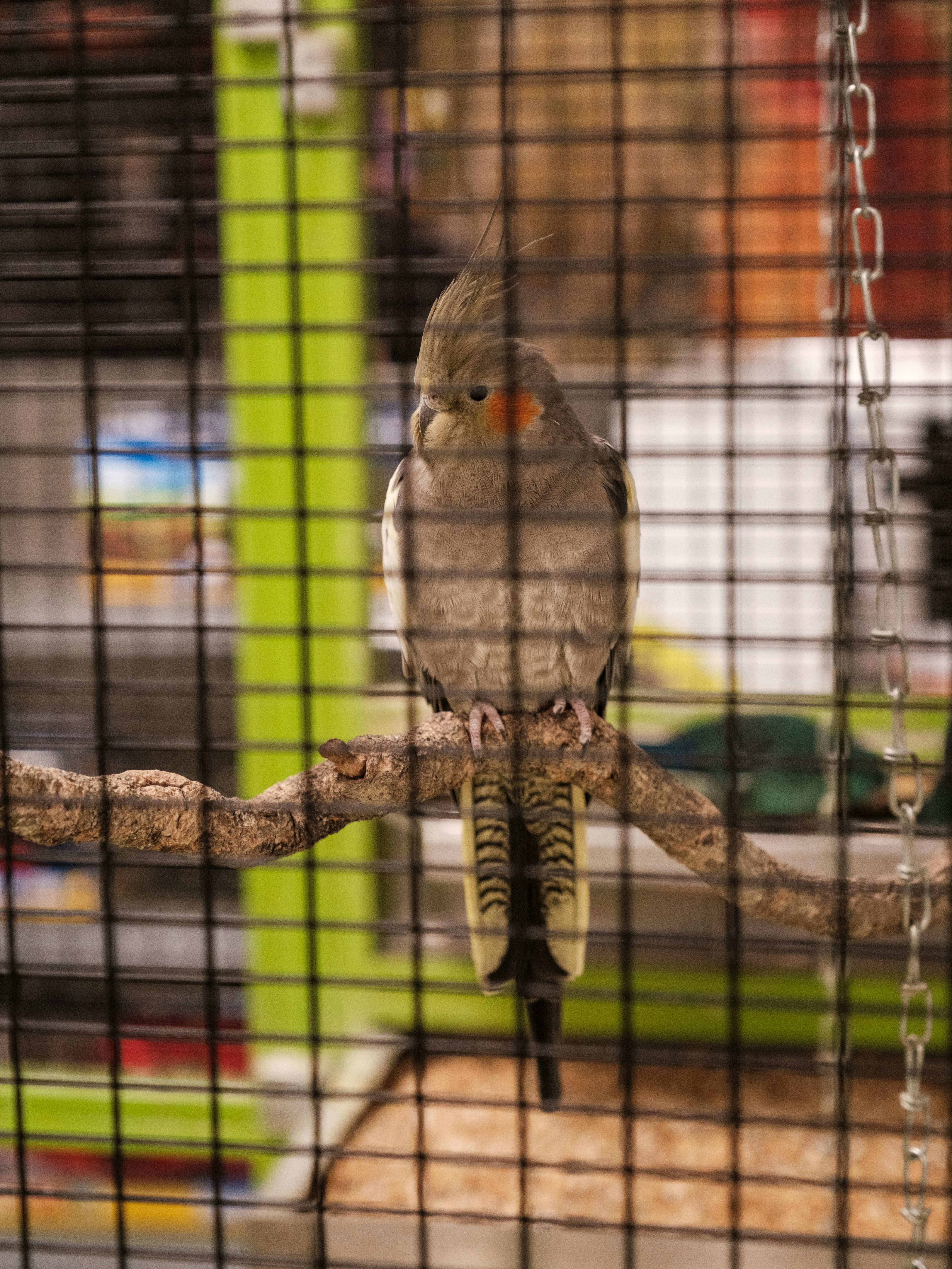 Photo by haberdoedas2