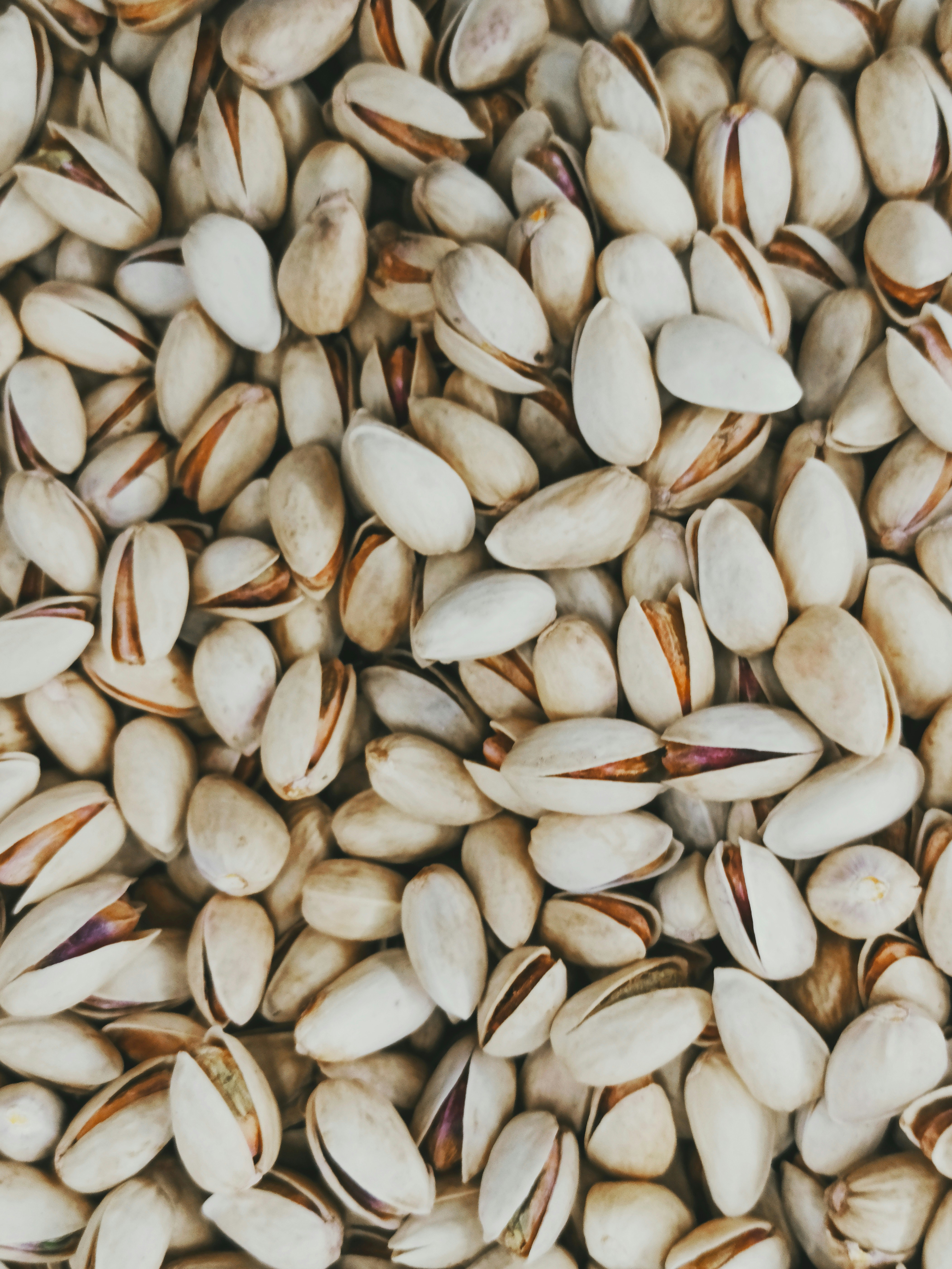 Photo by rashedpaykary