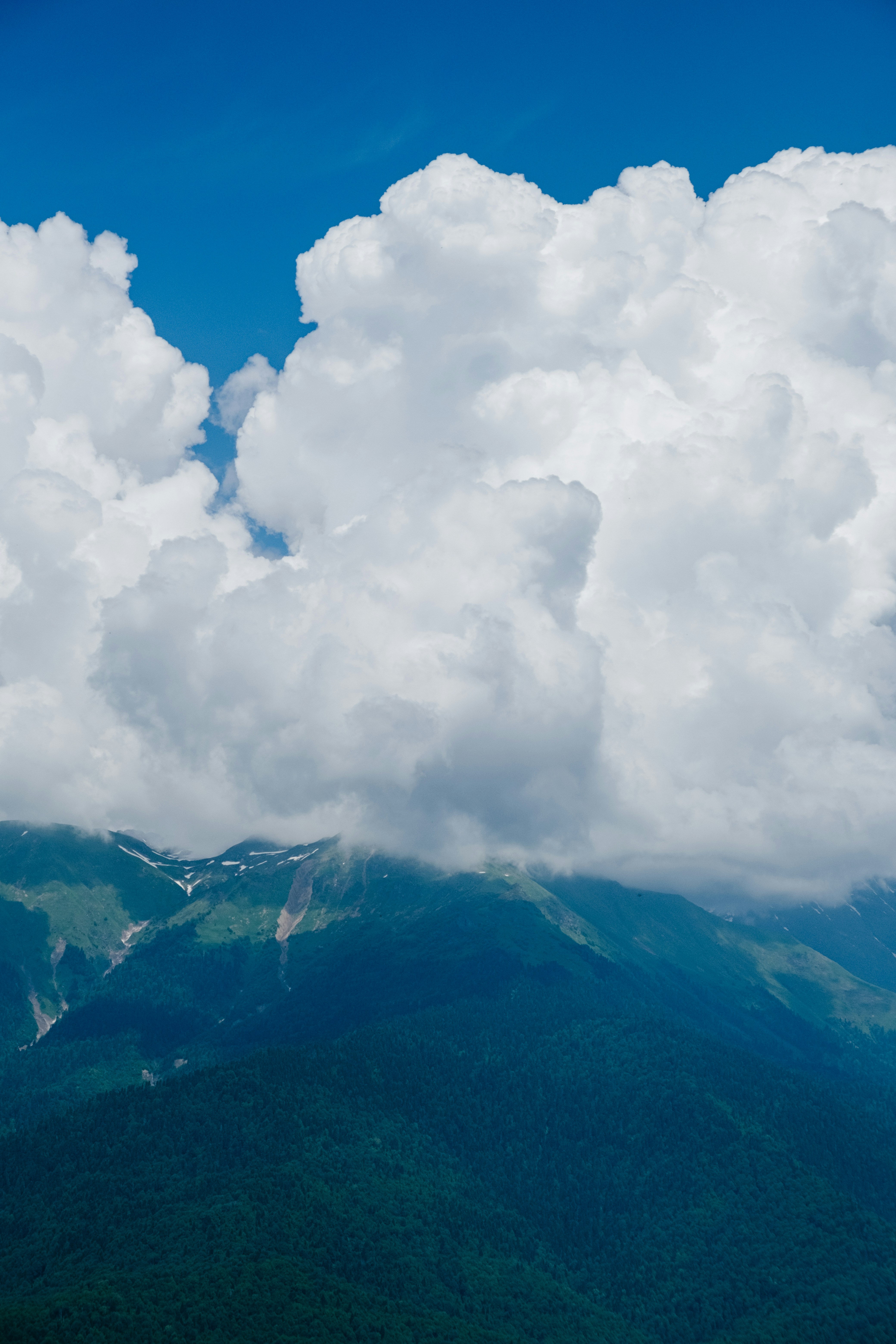 Photo by alex_akimenko