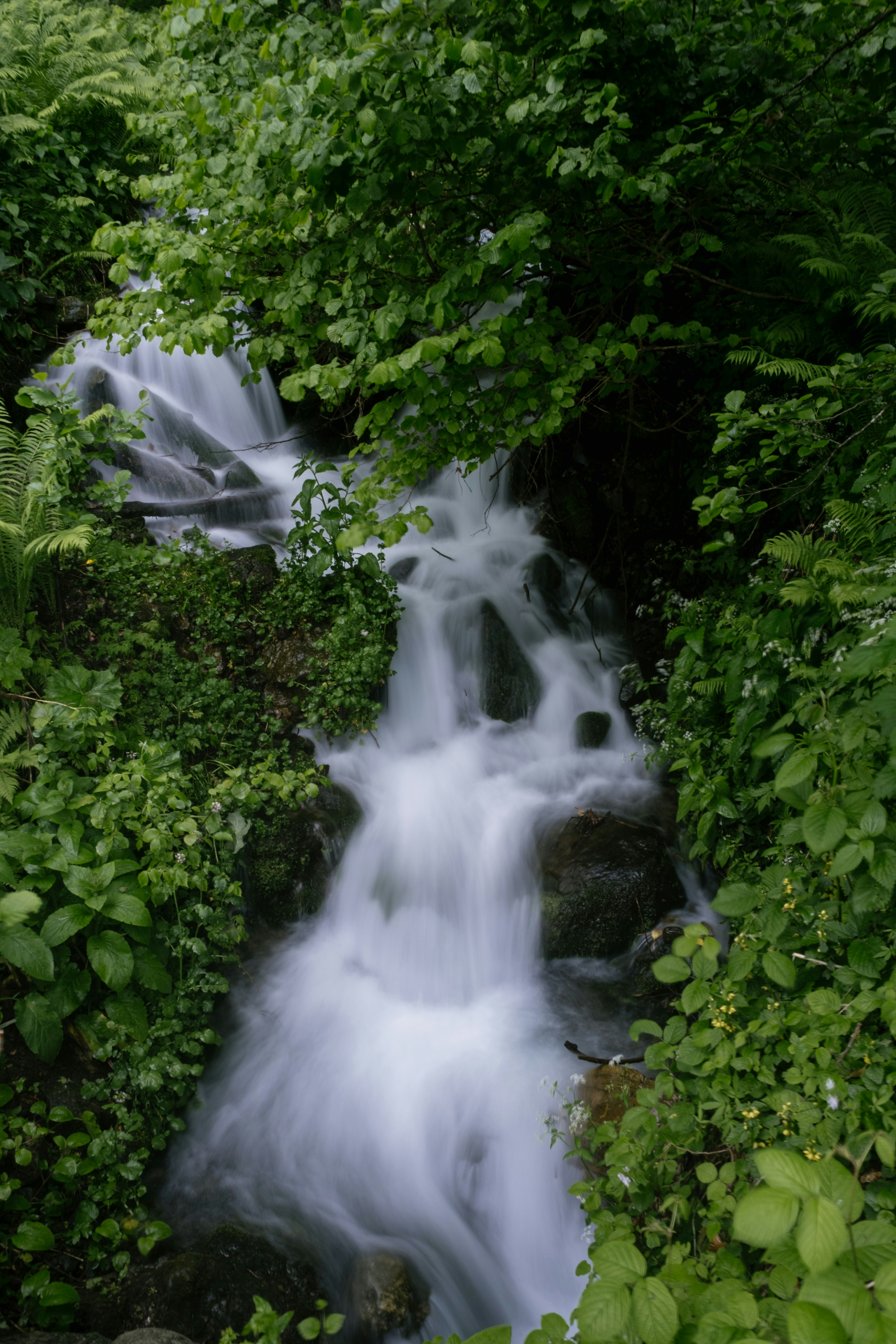 Photo by alex_akimenko