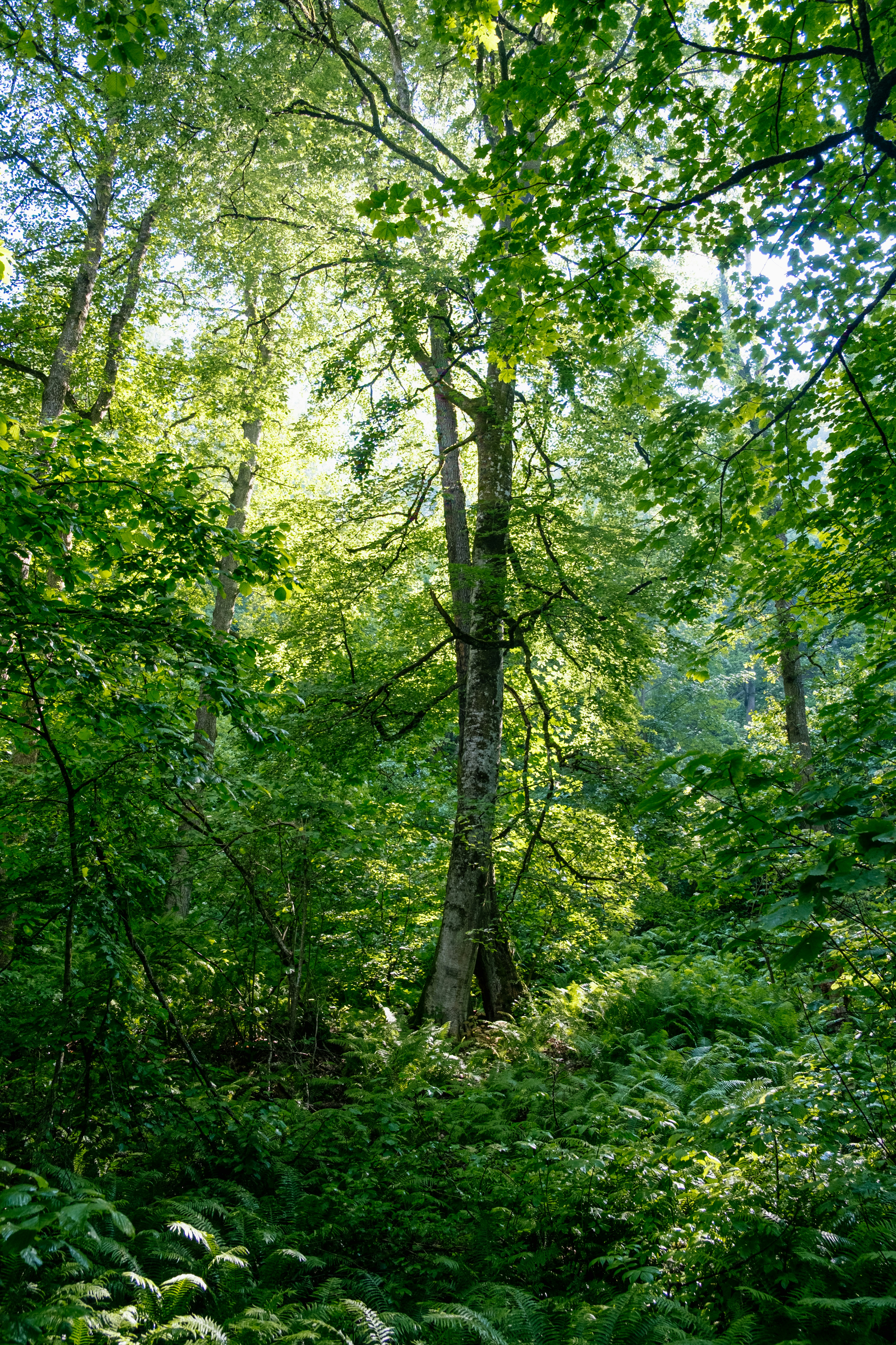 Photo by alex_akimenko