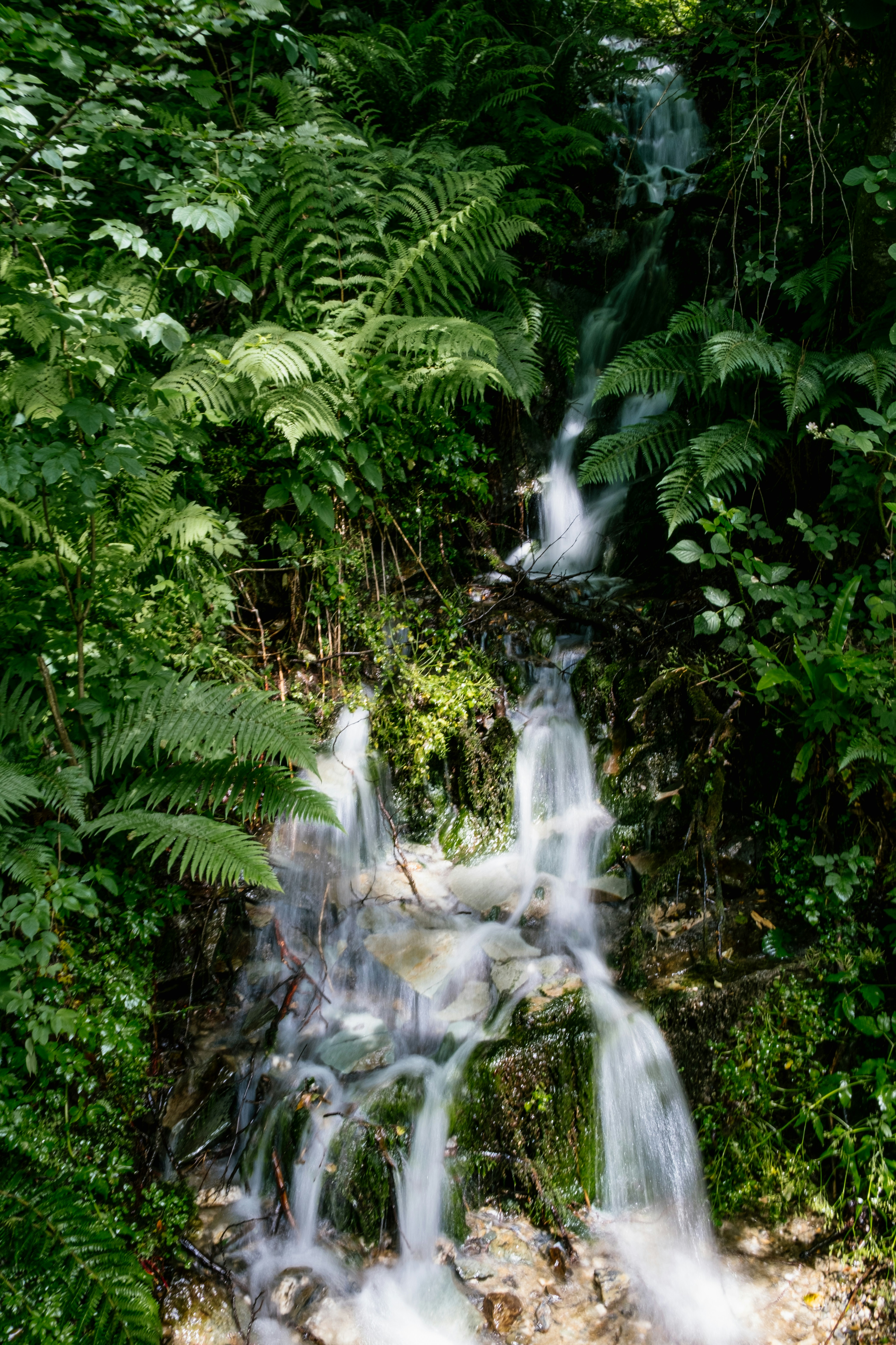 Photo by alex_akimenko