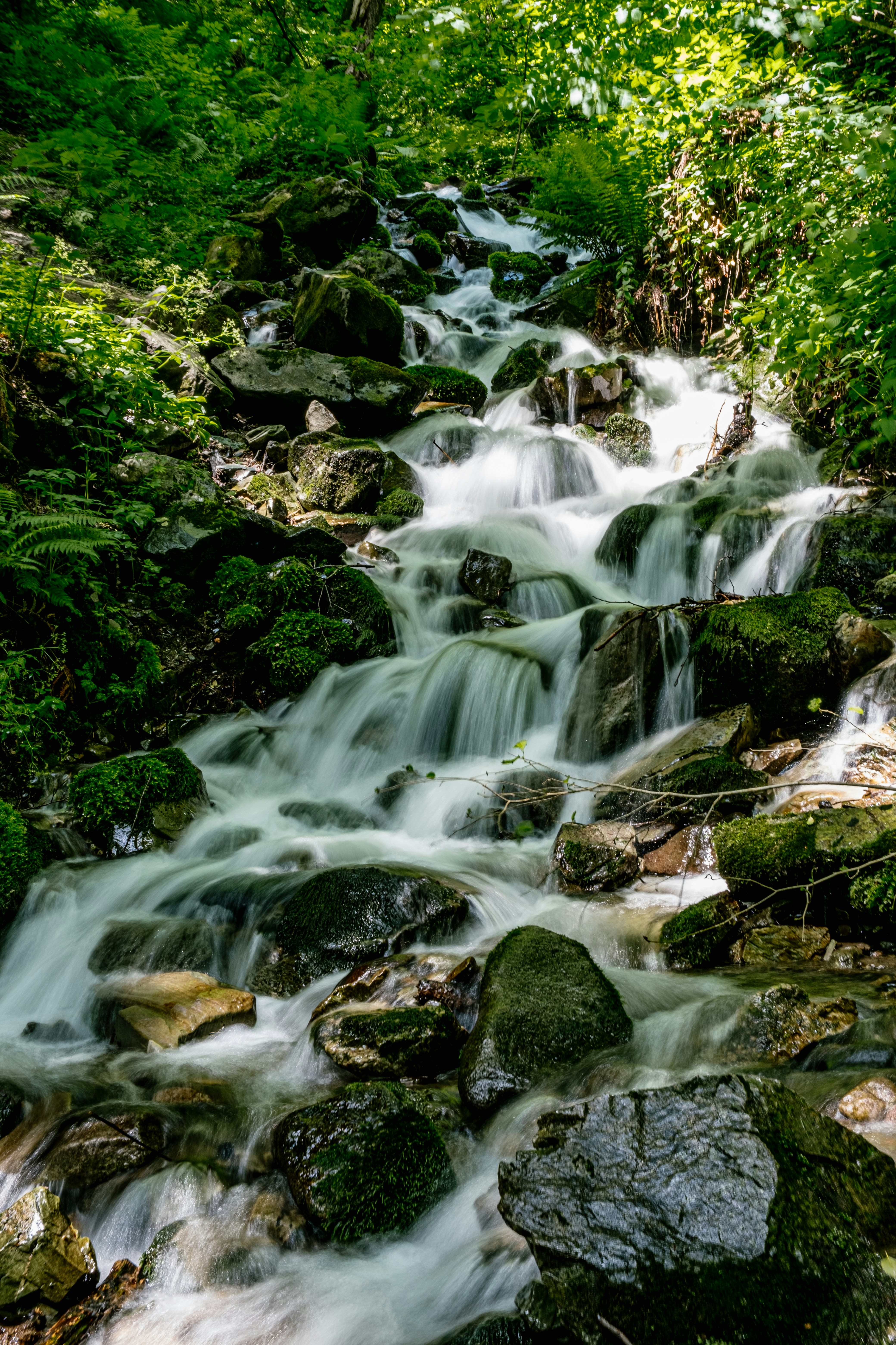 Photo by alex_akimenko