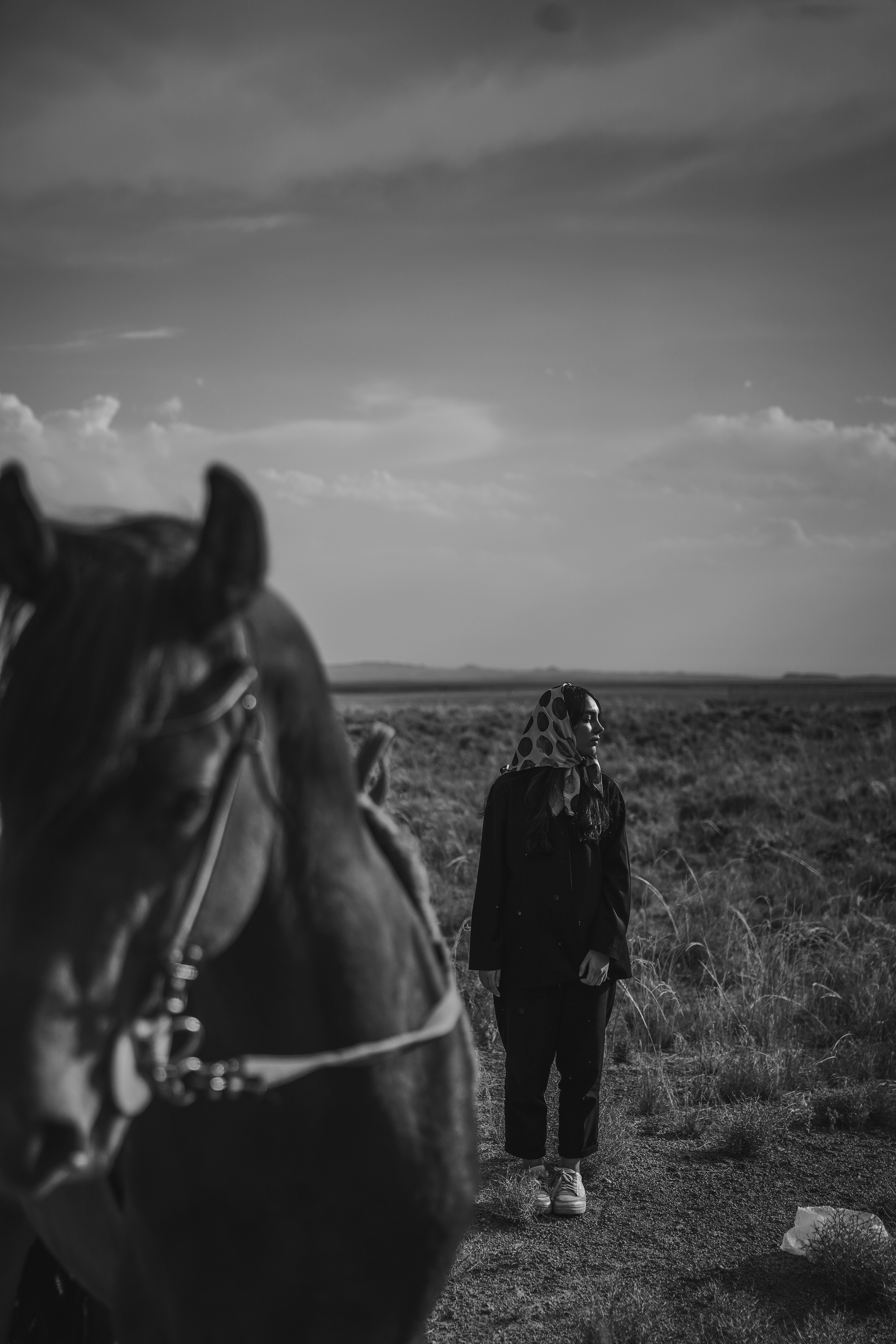 Photo by samirdezhangah