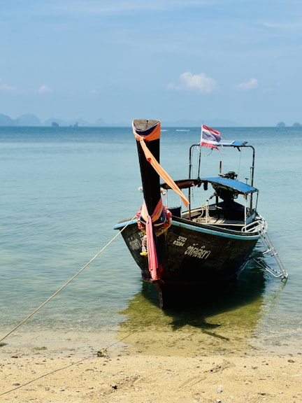 a boat tied up on the shore of a beach