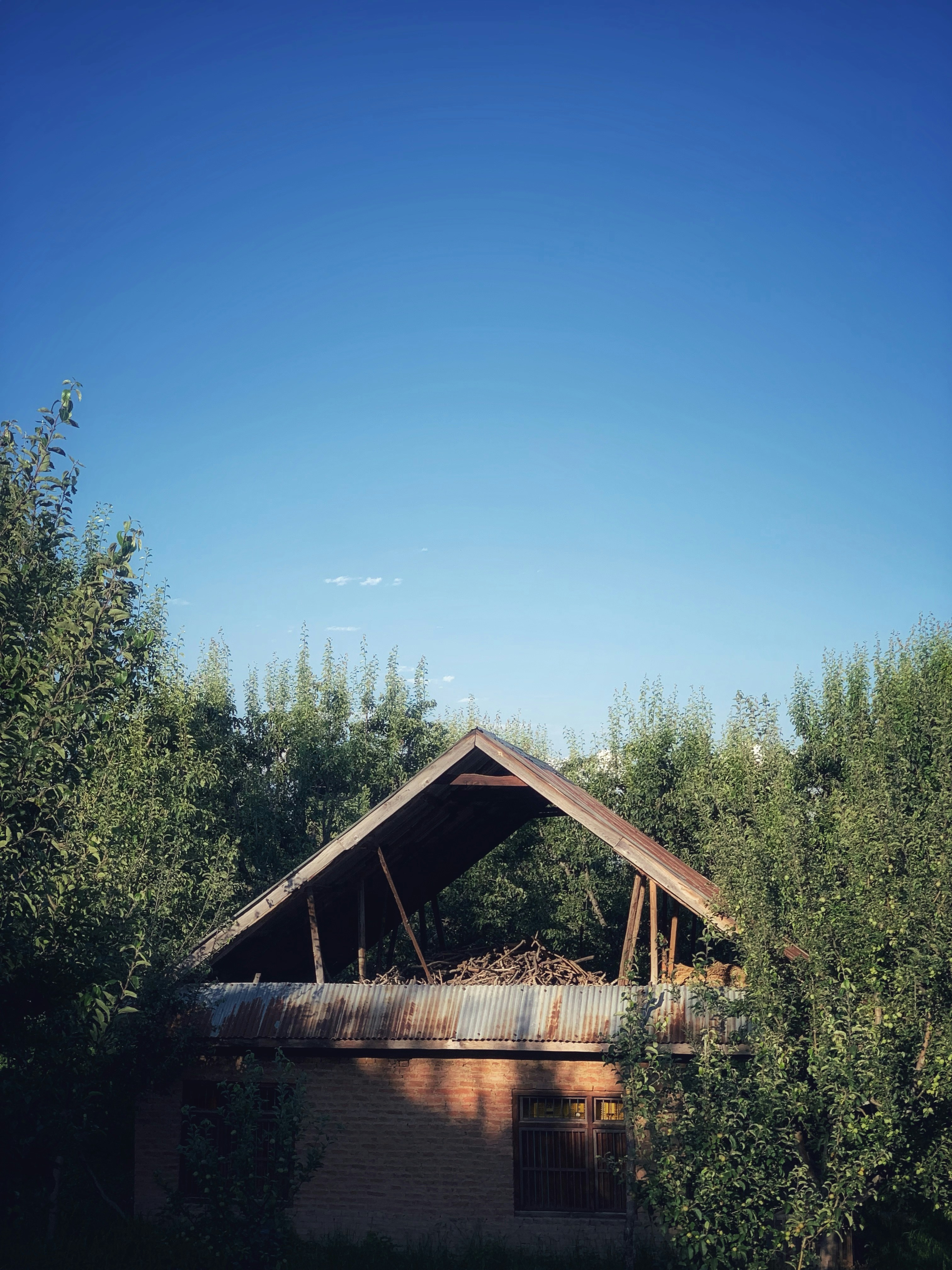 un vieux bâtiment au toit rouillé entouré d’arbres