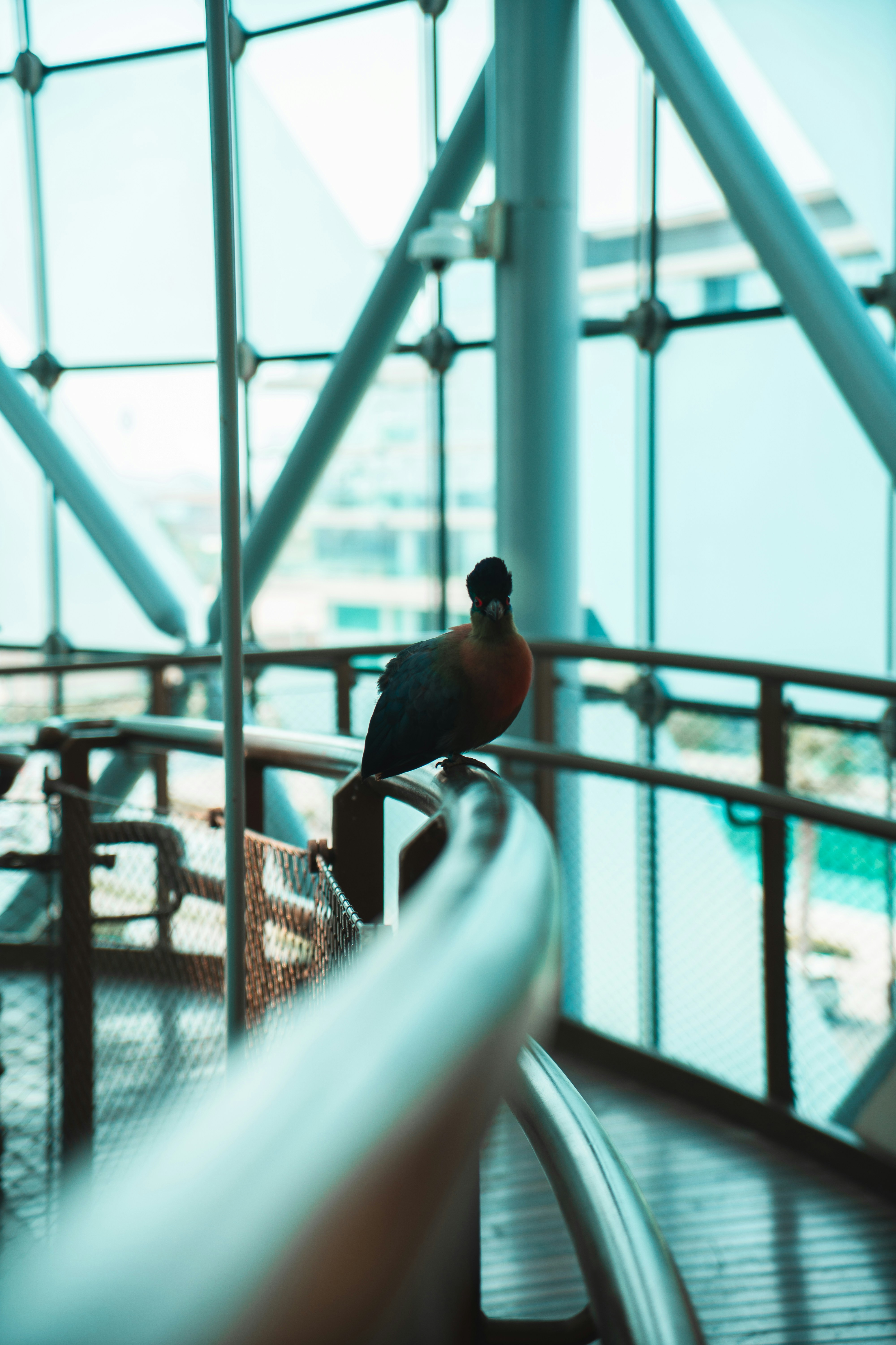 a bird sitting on top of a metal railing
