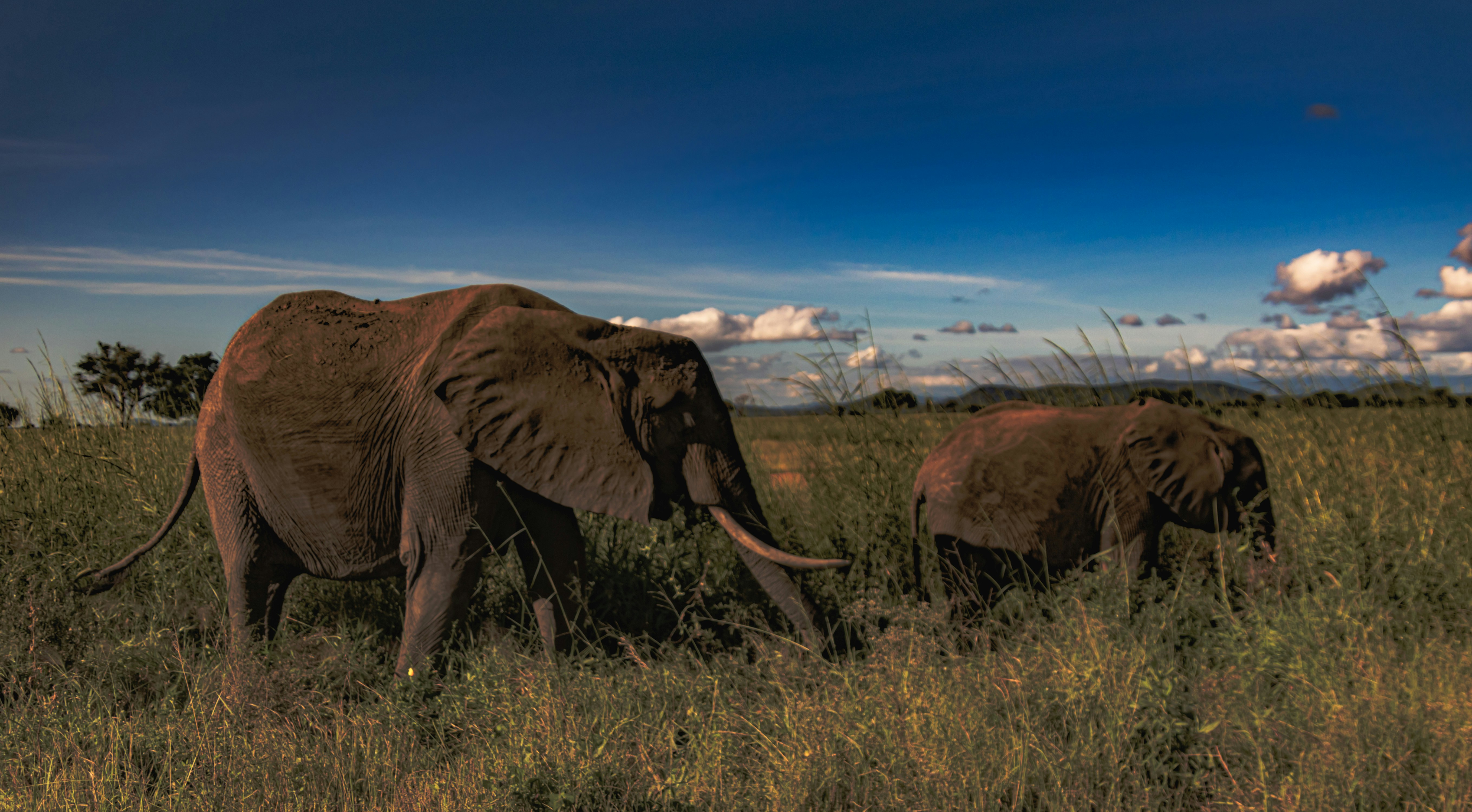 Photo by starkie_pics