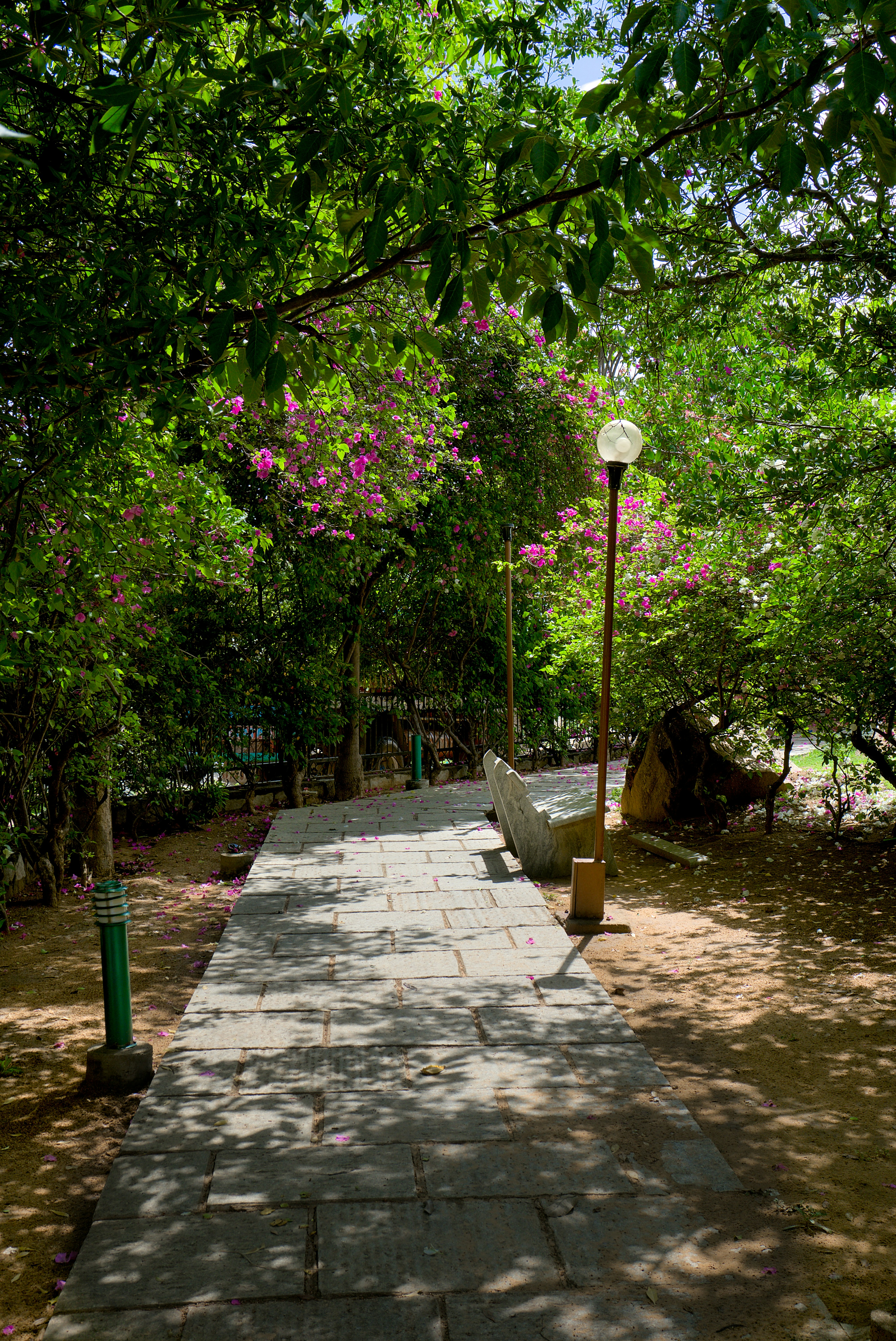 Photo by raja_clicks