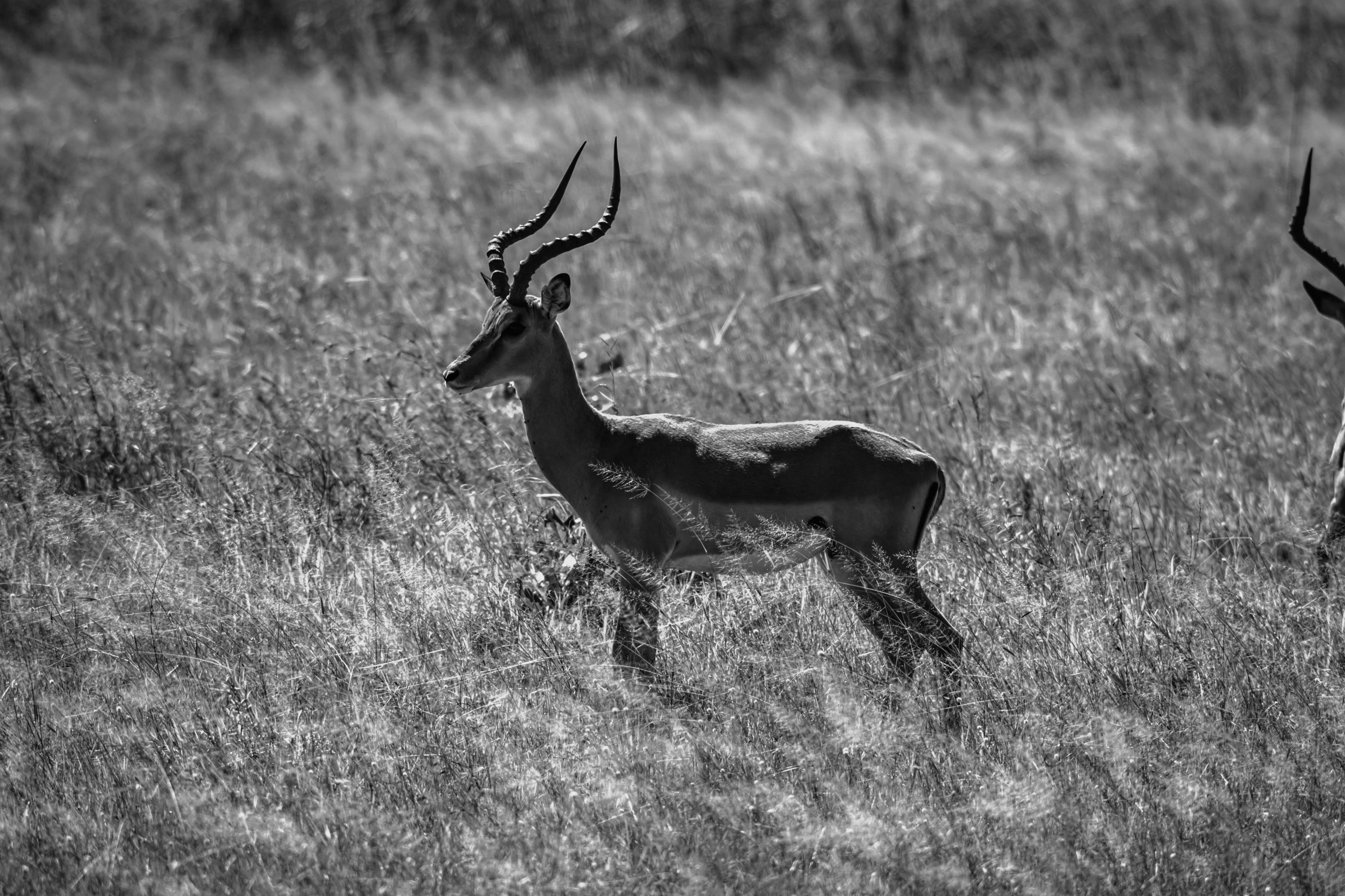 Photo by starkie_pics