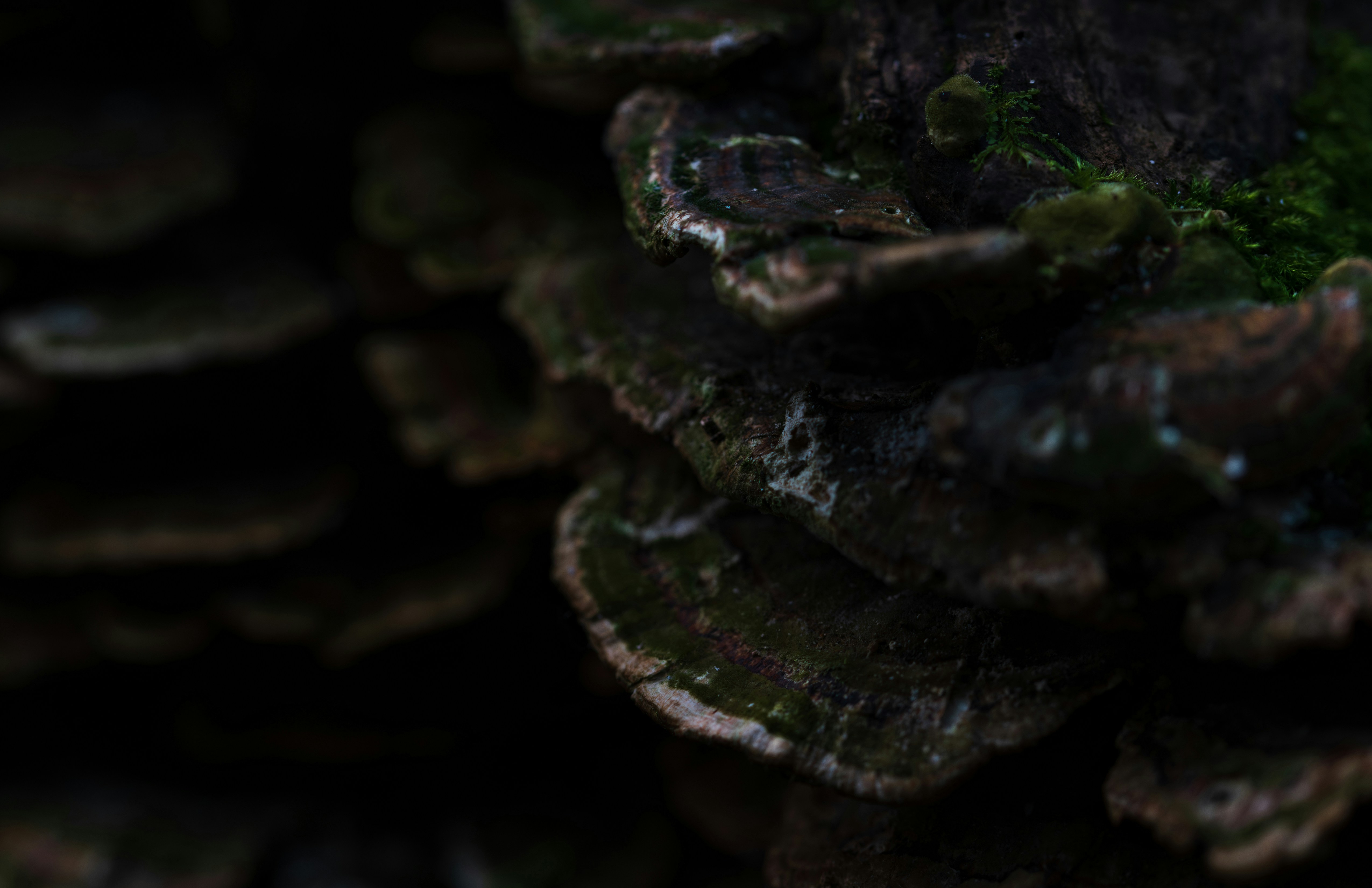 Photo by maett_hades