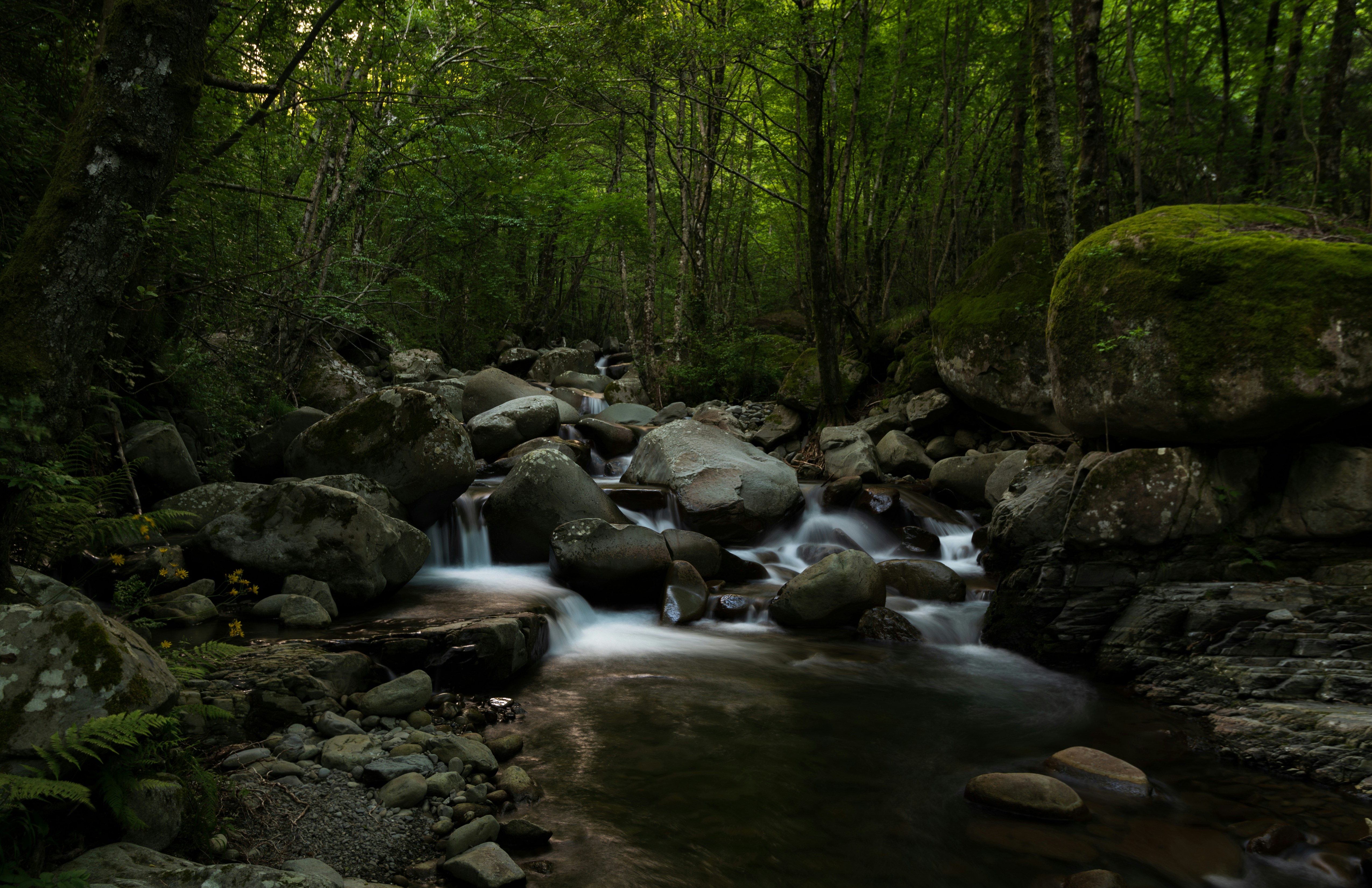 Photo by maett_hades