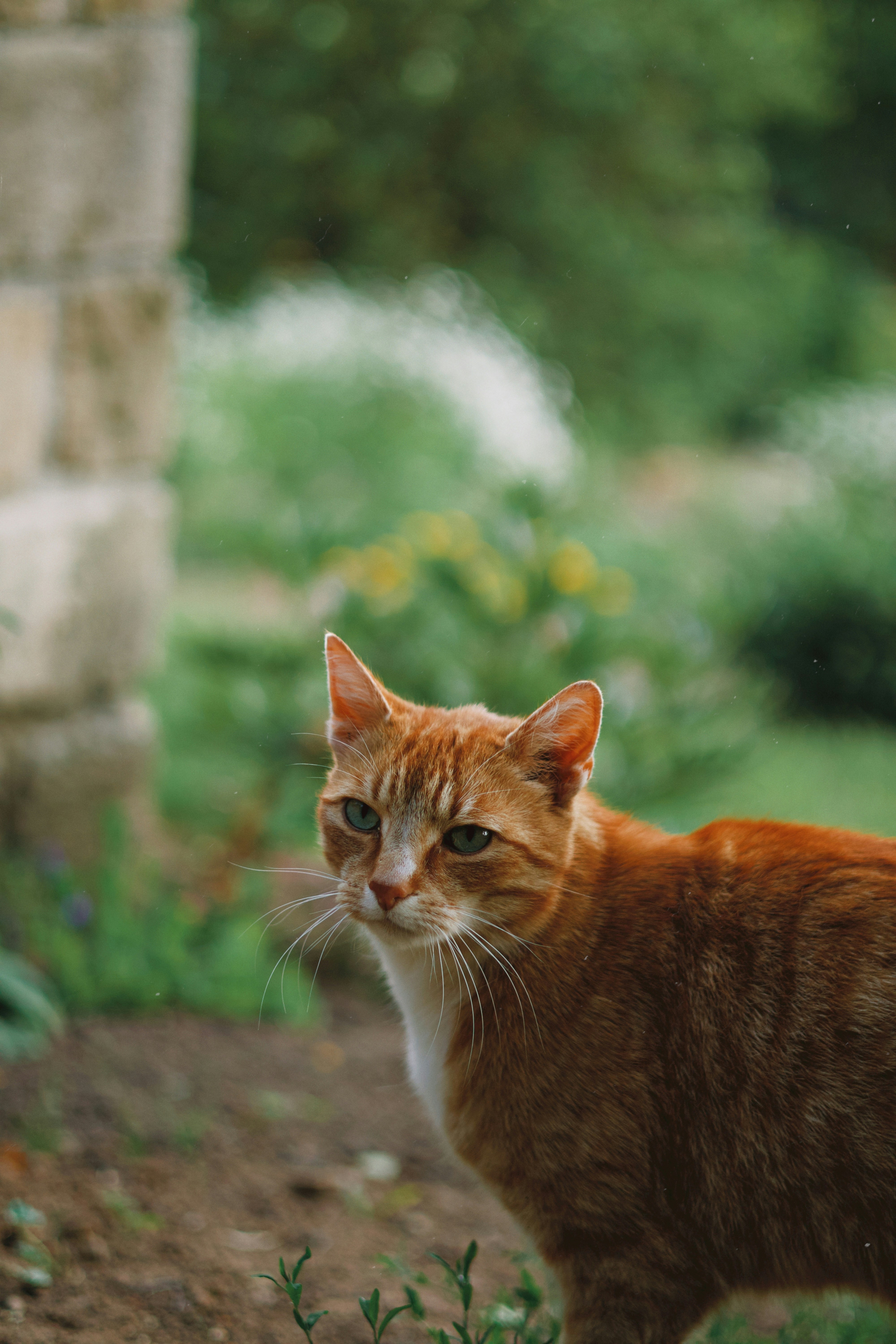 Photo by nottwentyseven