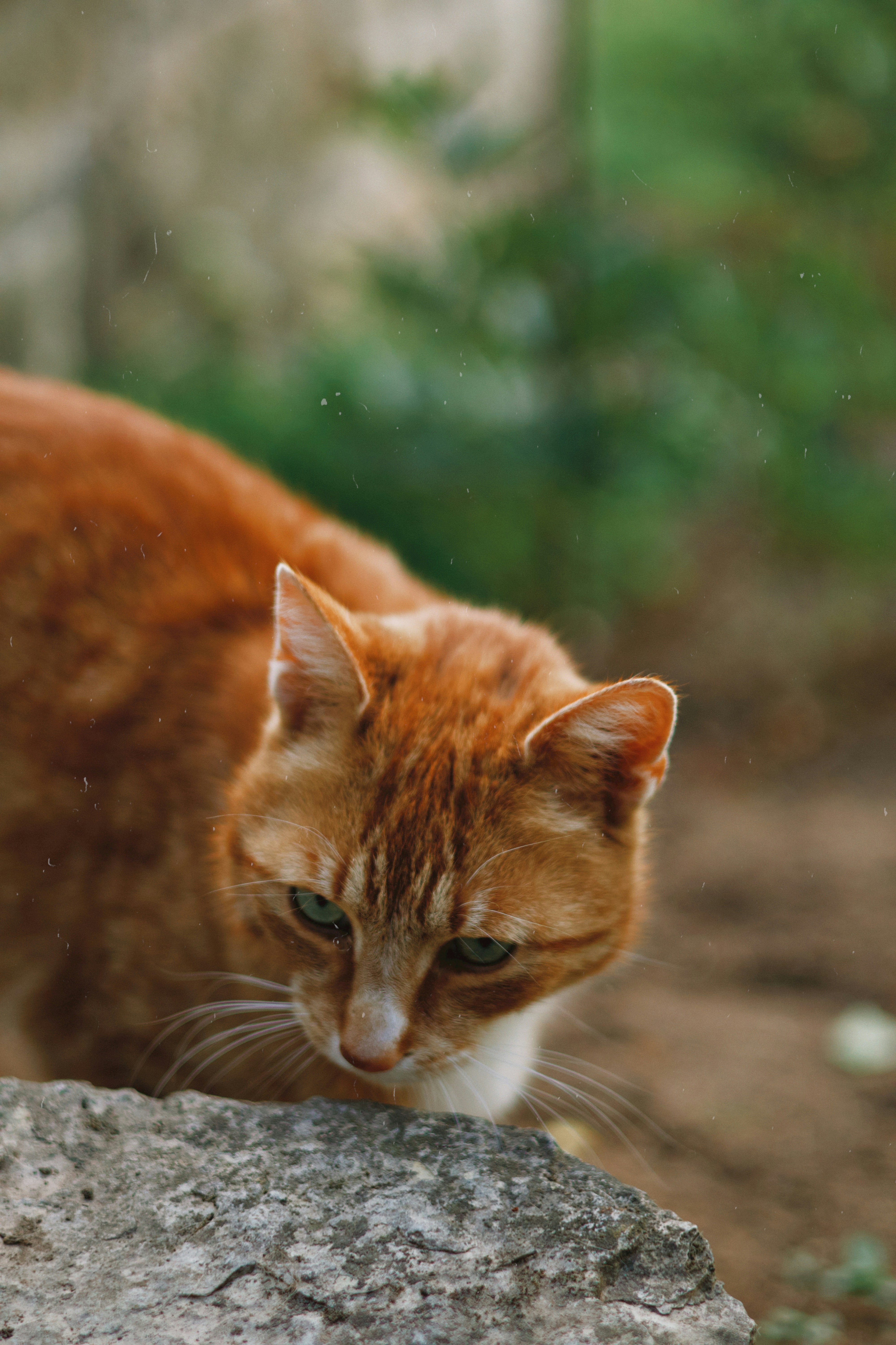 Photo by nottwentyseven