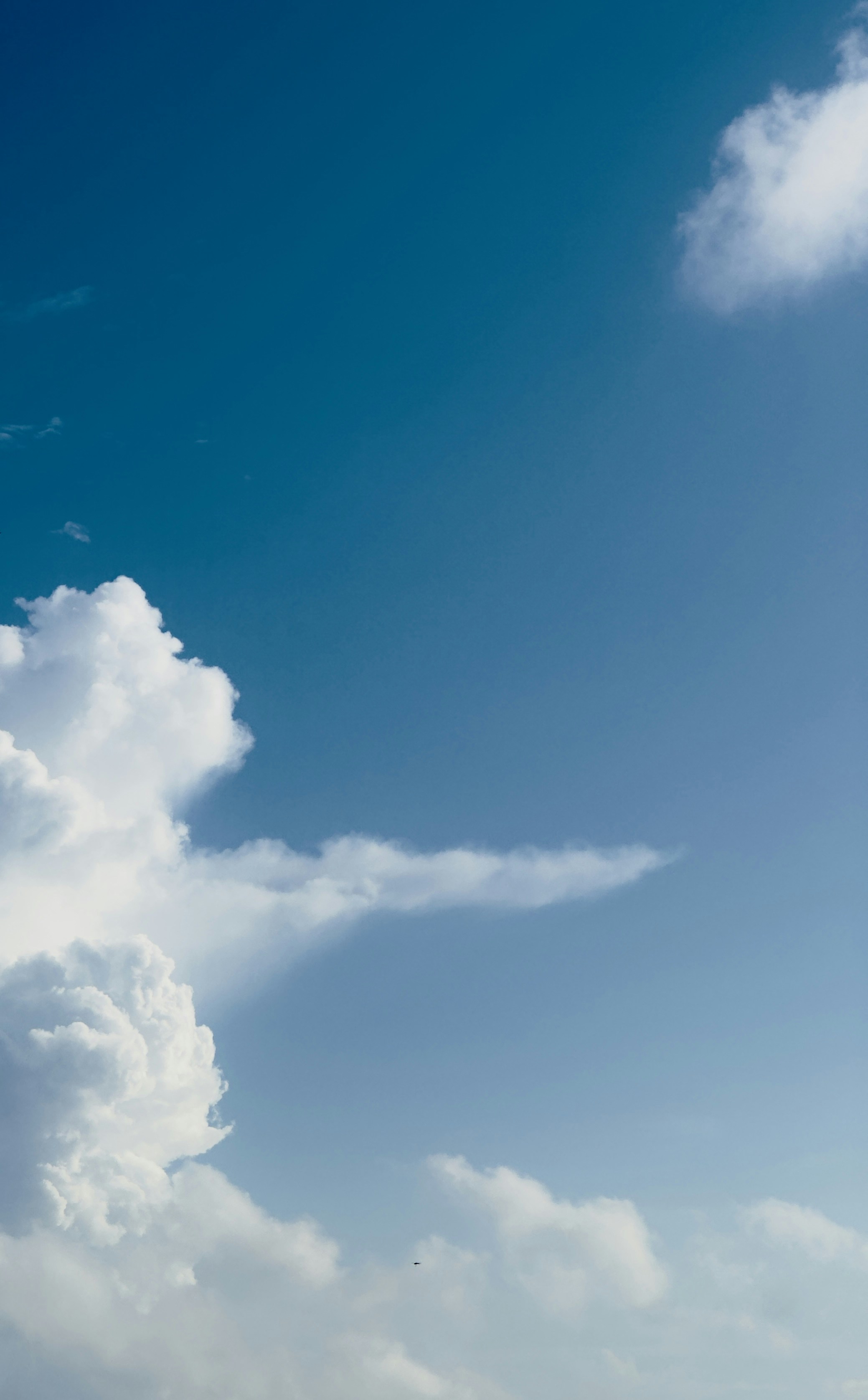 Photo by sanjeevan_s