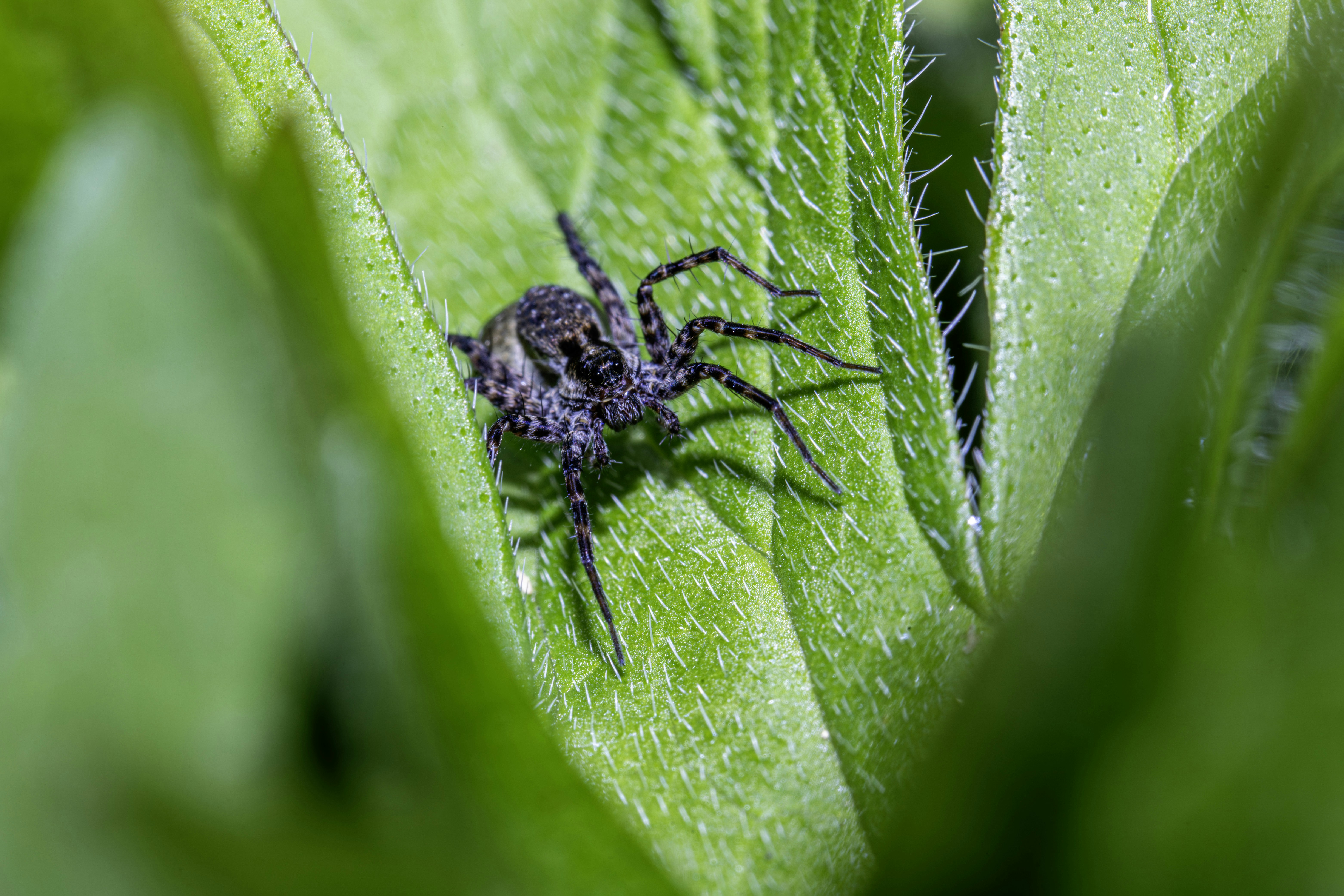 Photo by erik_karits