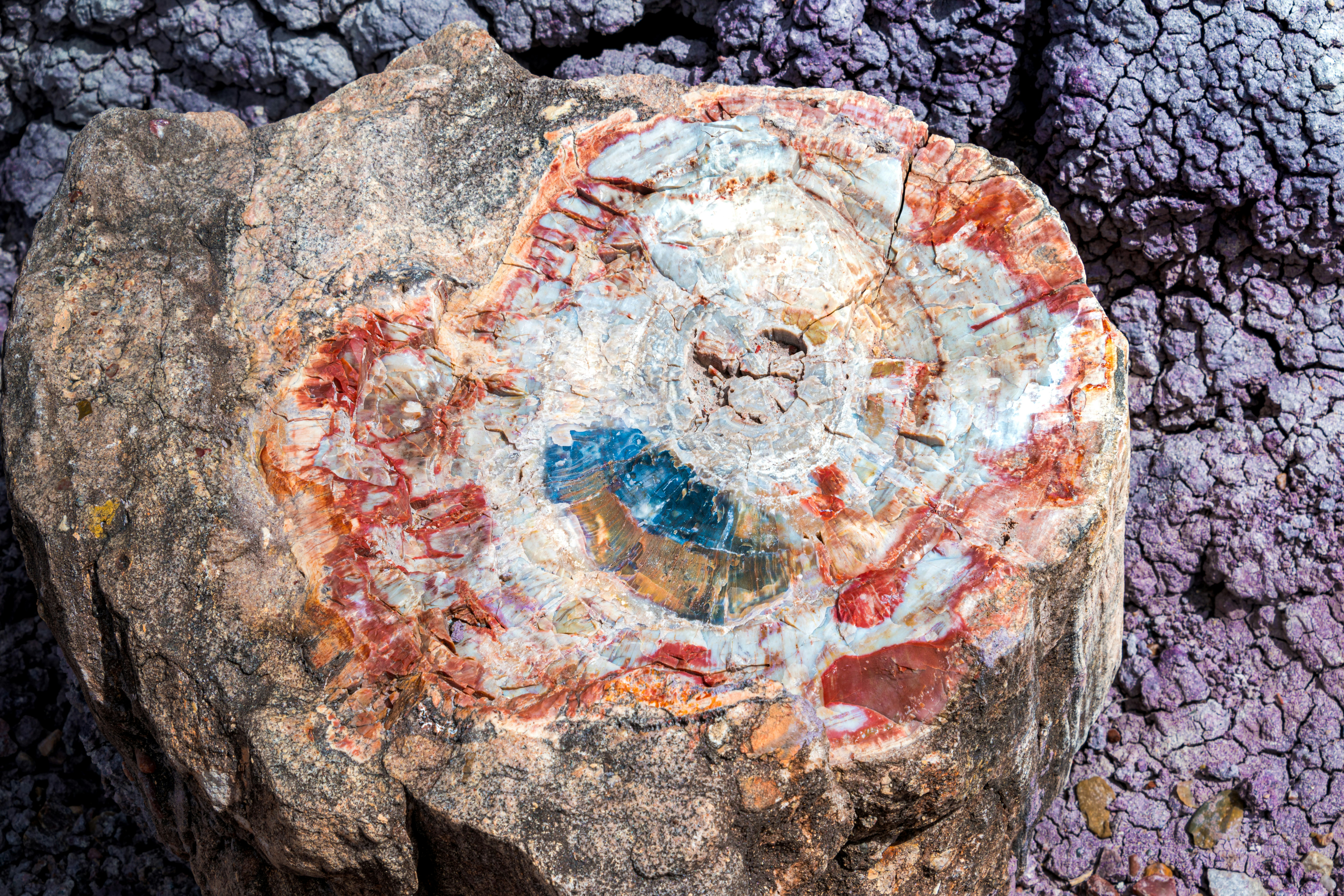 a rock with a piece of glass embedded in it