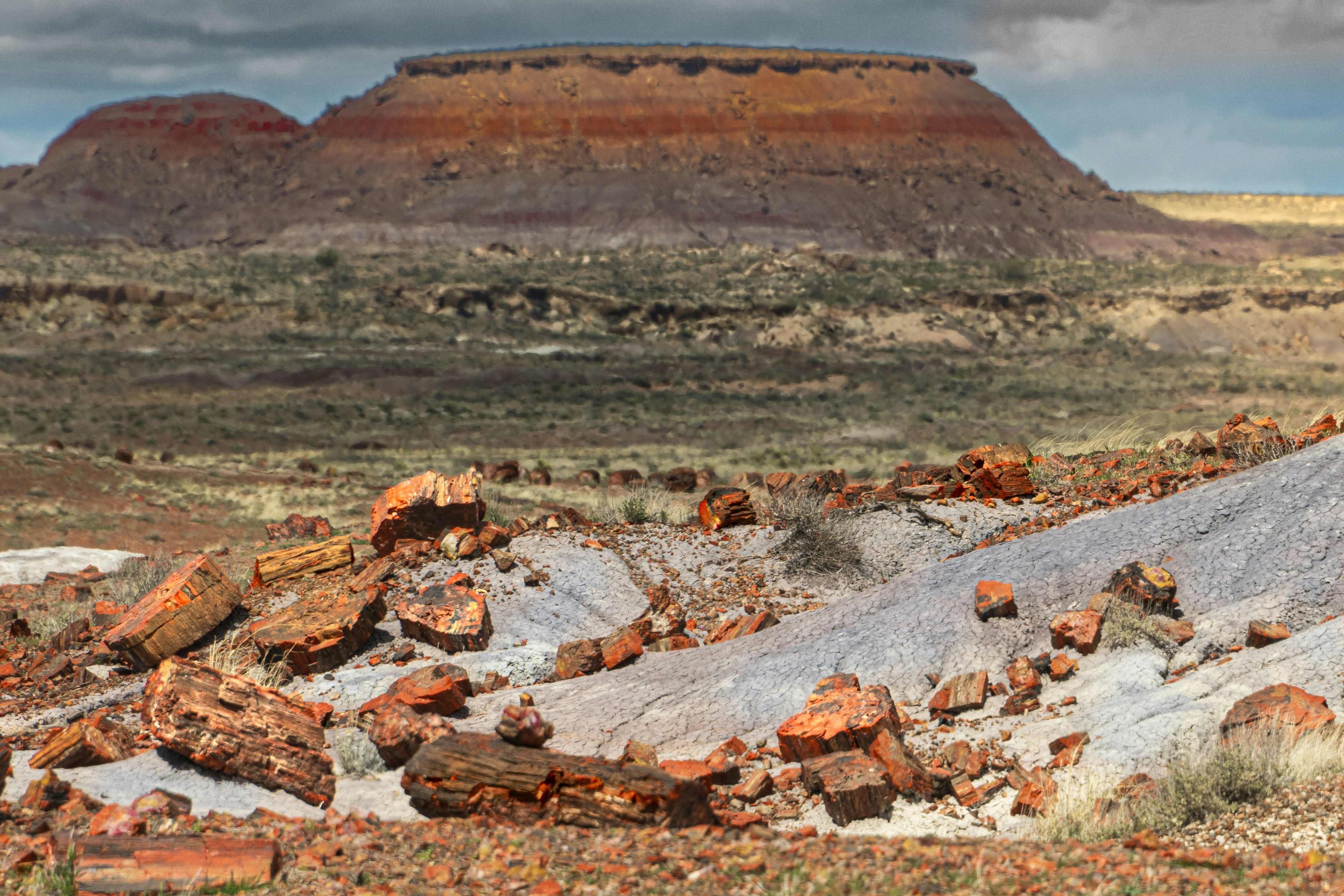 Physical Evidence of Pleistocene Extinctions: A New Component Added"