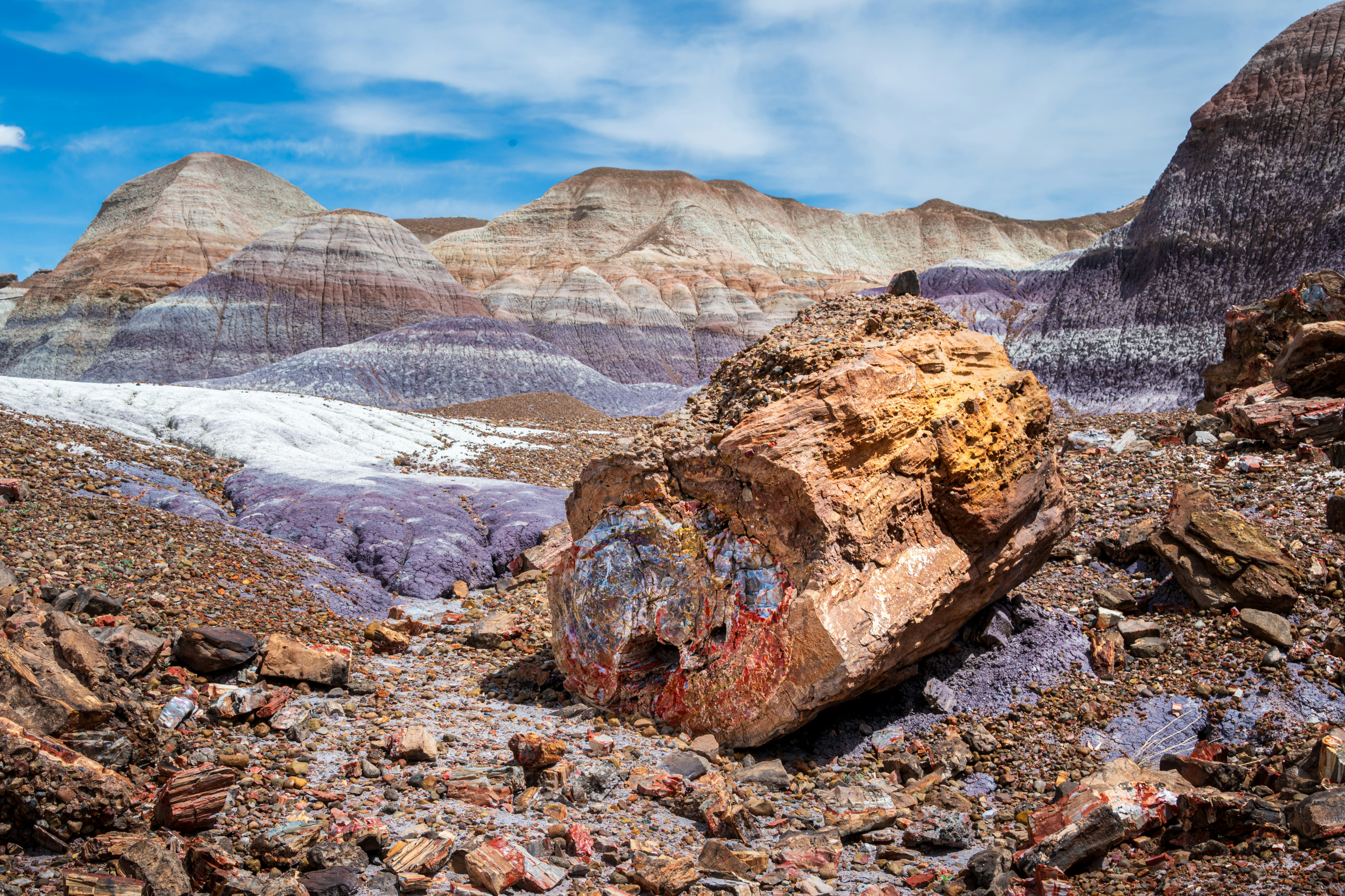 Petrified Forest National Park: Arizona’s Rainbow of Fossils (image credits: unsplash)