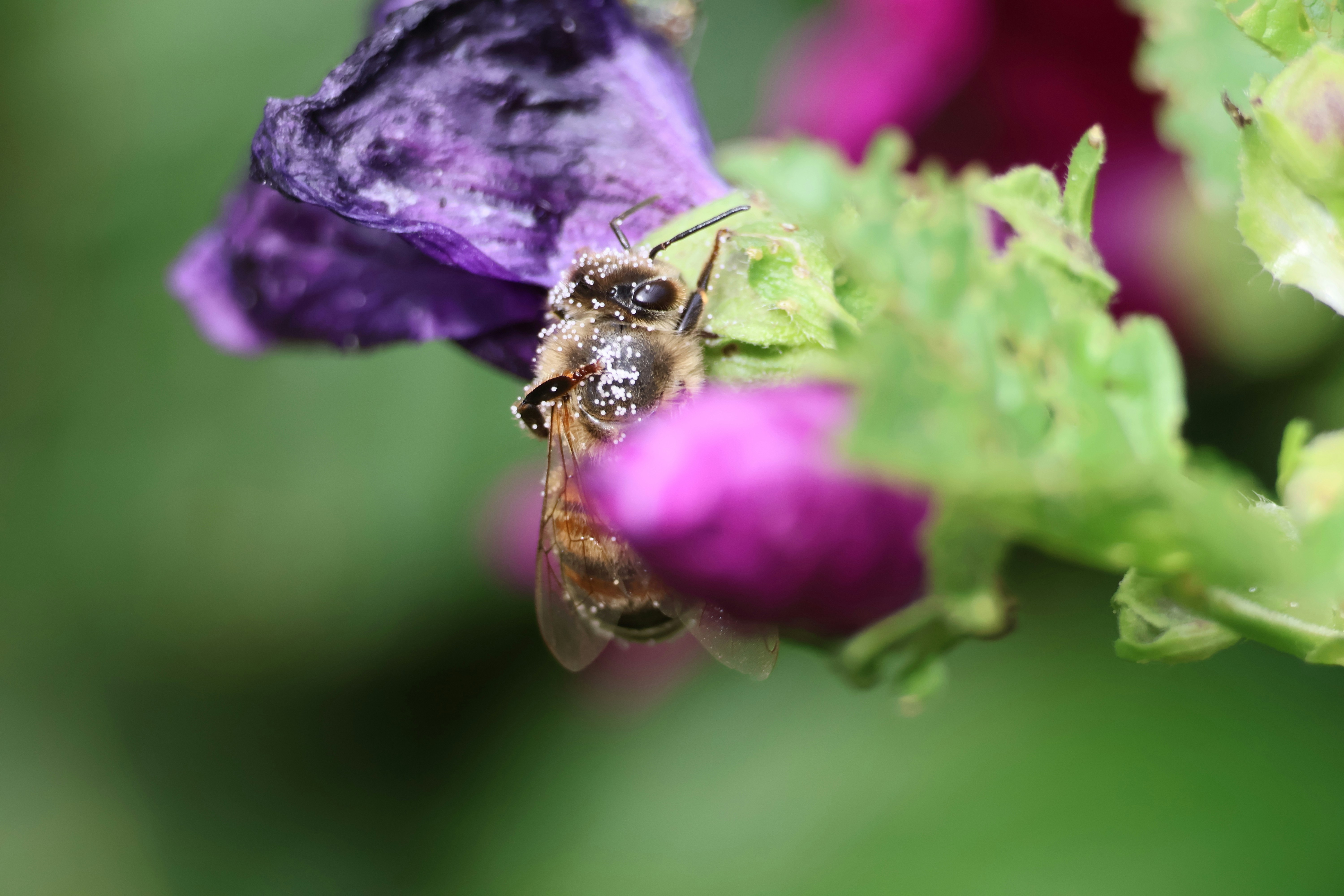 Photo by shooter__andy