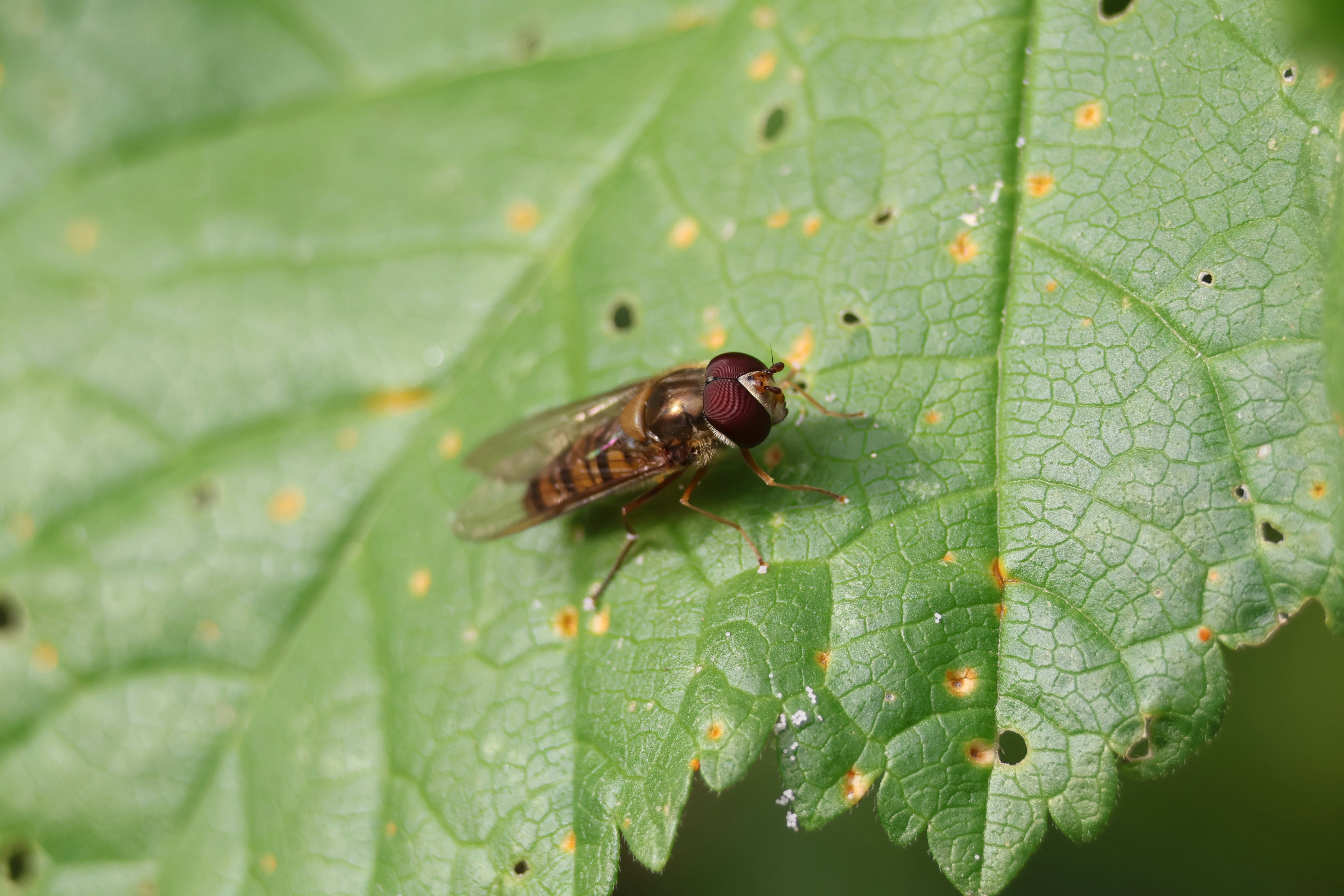 Photo by shooter__andy