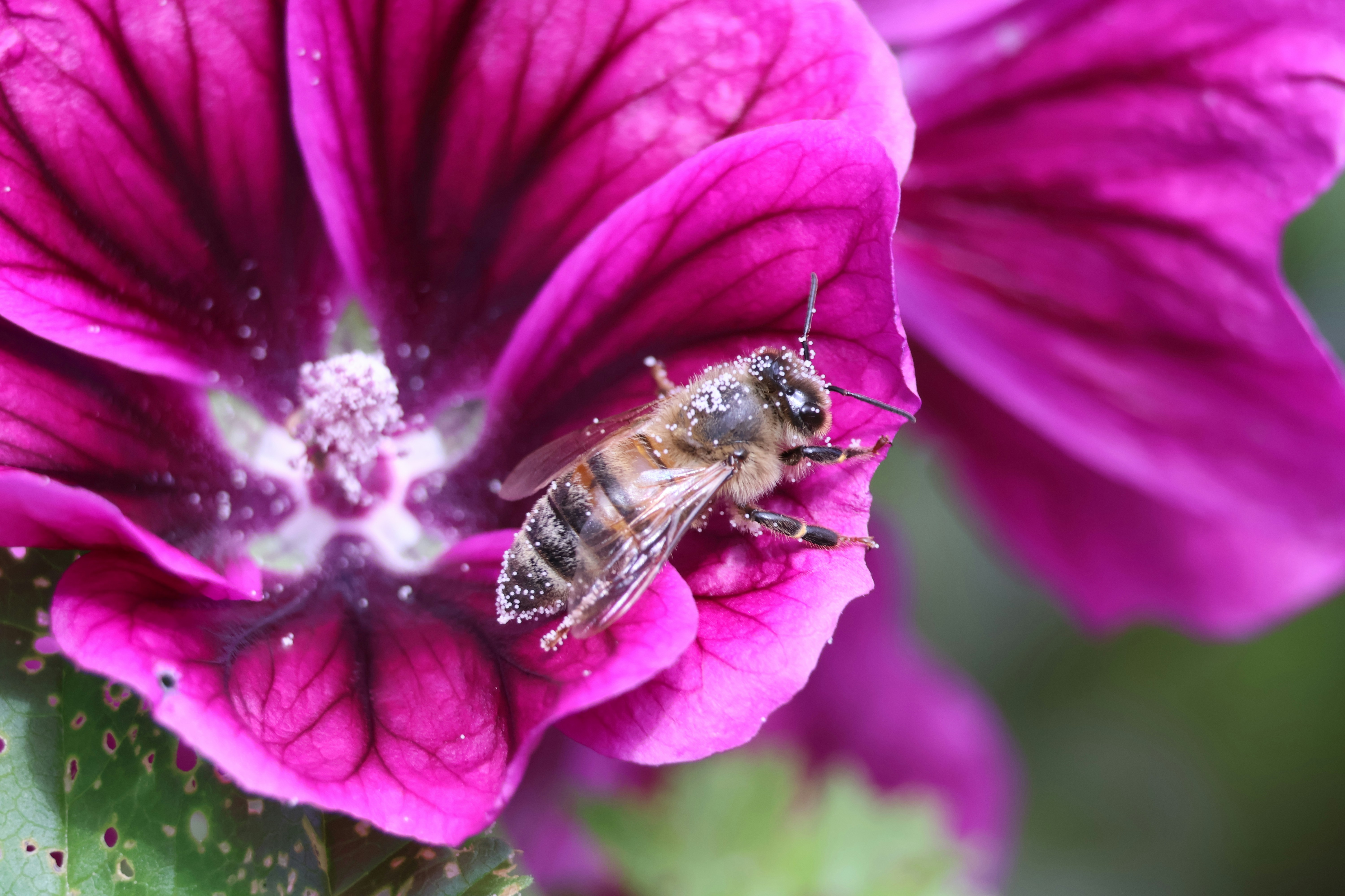 Photo by shooter__andy