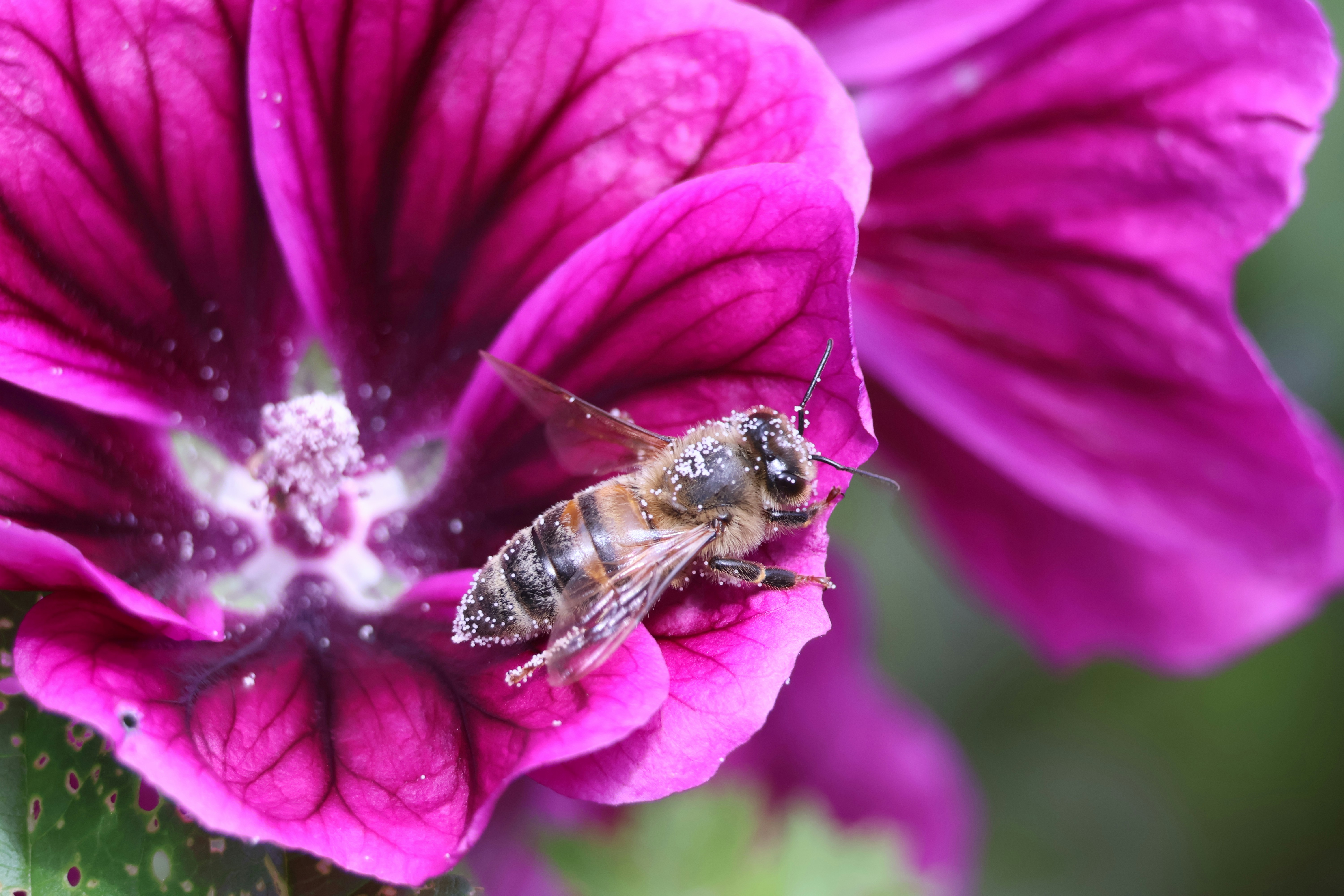 Photo by shooter__andy