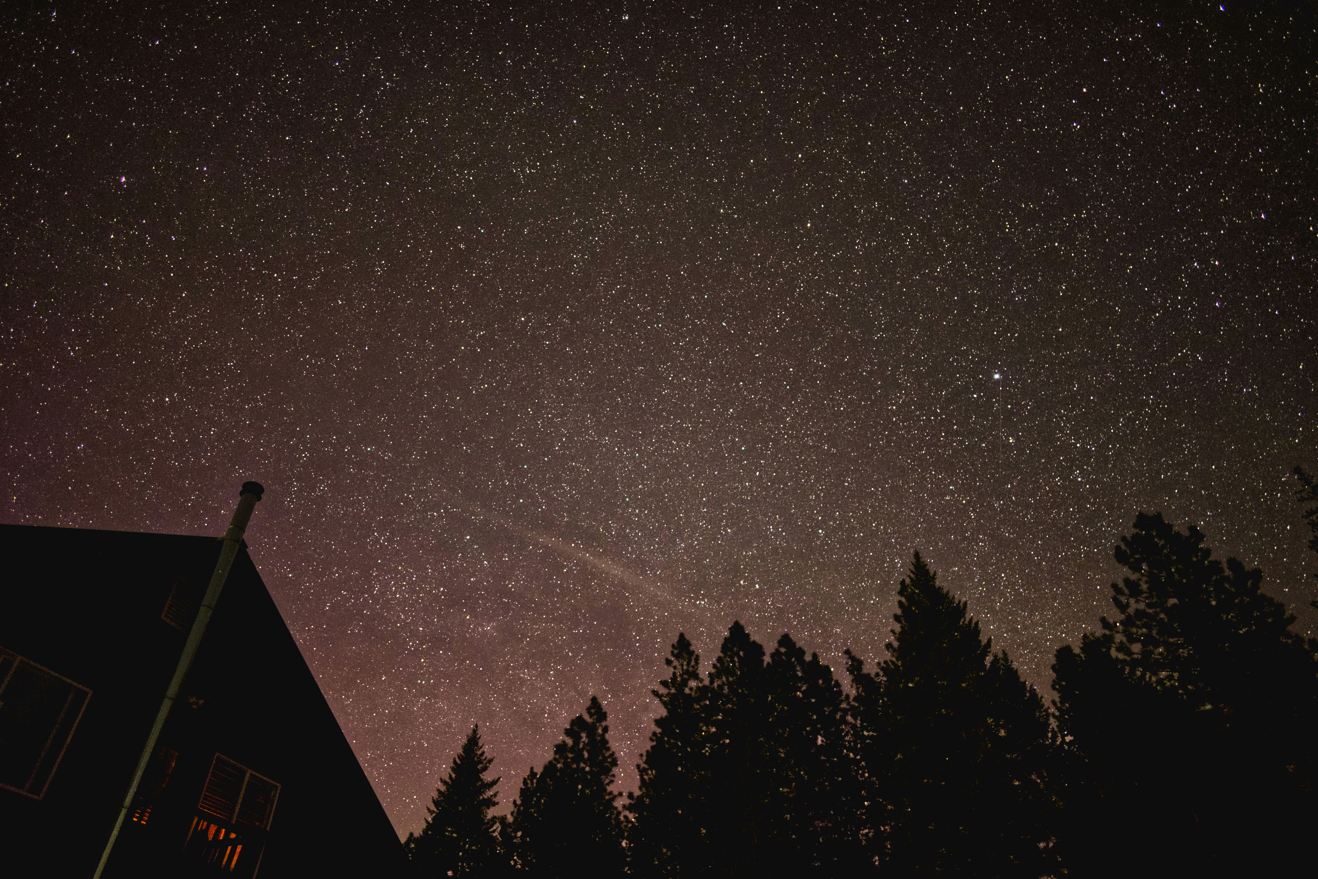 Photo by city2forest