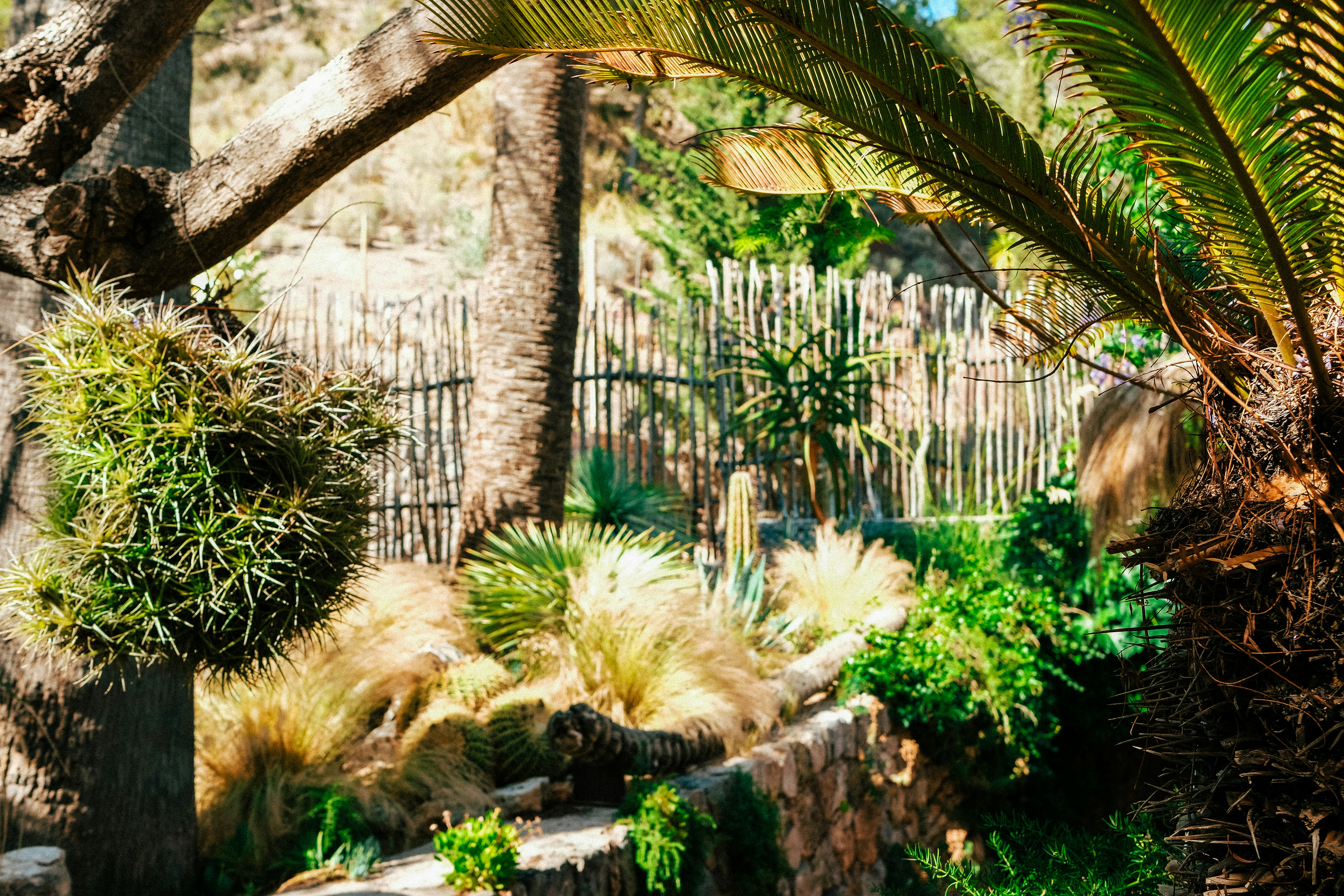 Photo by lmoss_photo