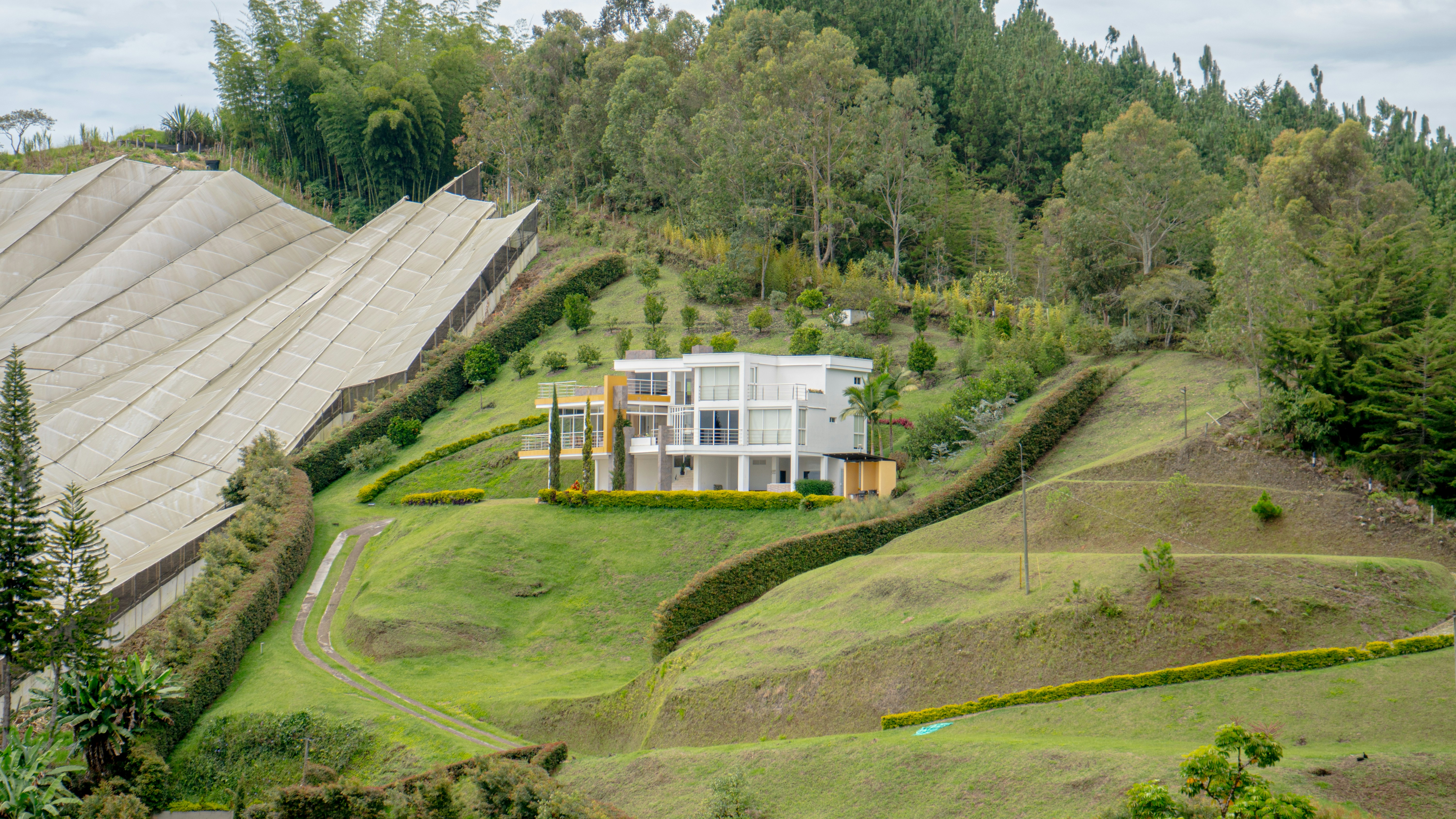 a house on a hill surrounded by trees