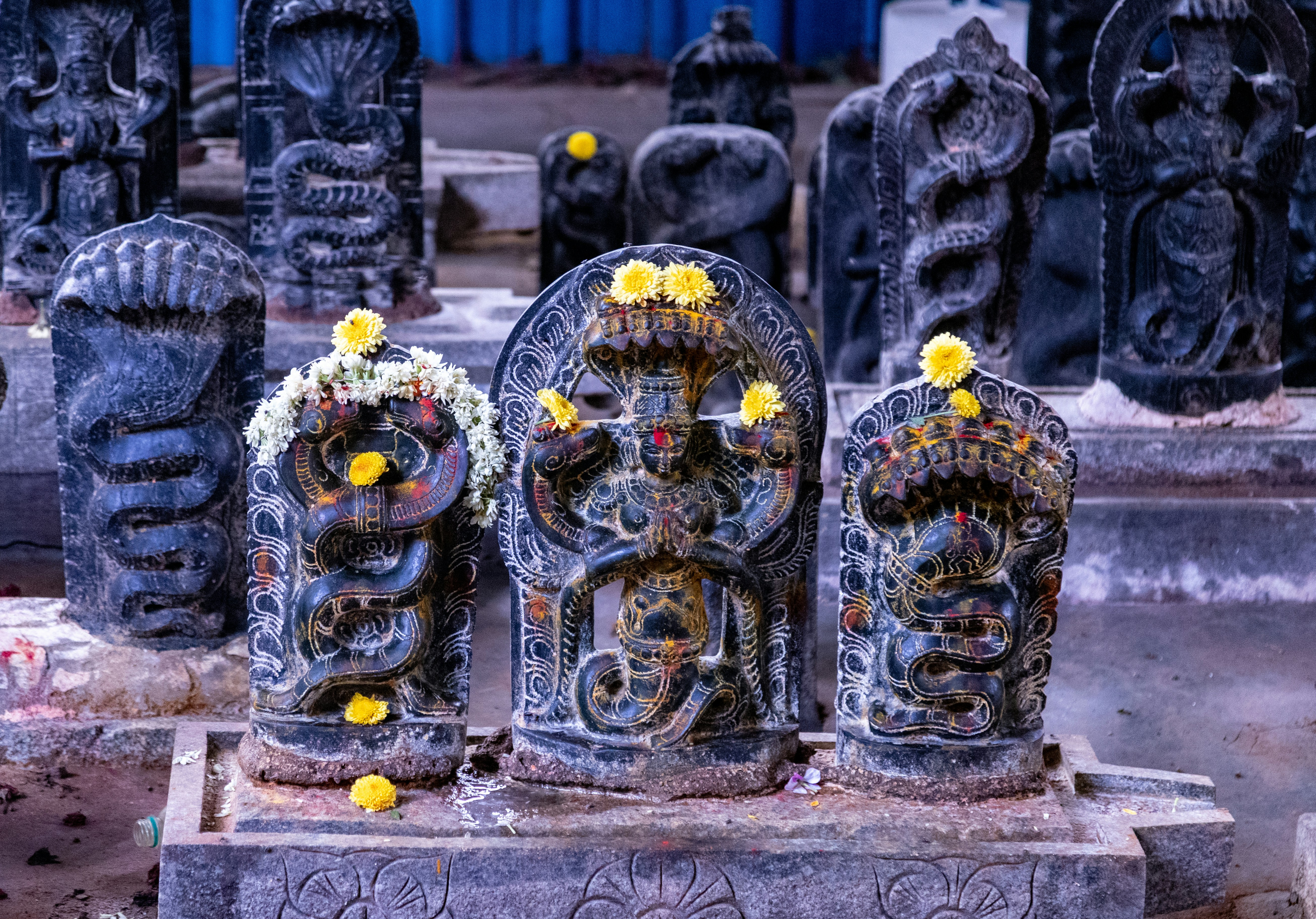 a group of statues sitting next to each other, A collection of intricately carved stone sculptures depicting snakes (Naga) in a Hindu temple in Bangalore. The statues are adorned with yellow and white flowers, indicating offerings and reverence. The scene captures the spiritual and cultural significance of serpent worship in Hinduism, highlighting the intricate artistry and devotional practices.