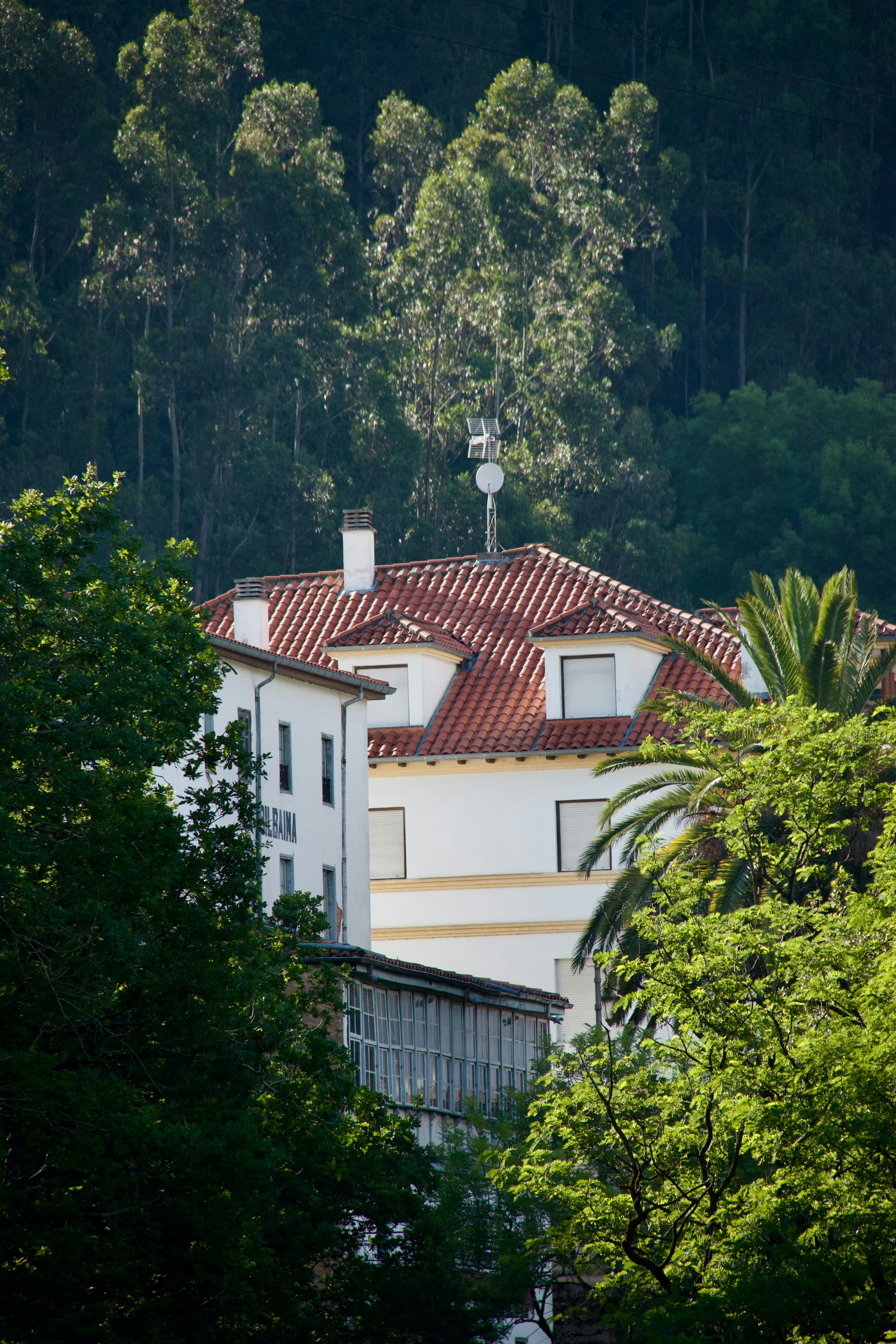 Ignacio Allende House photo 2