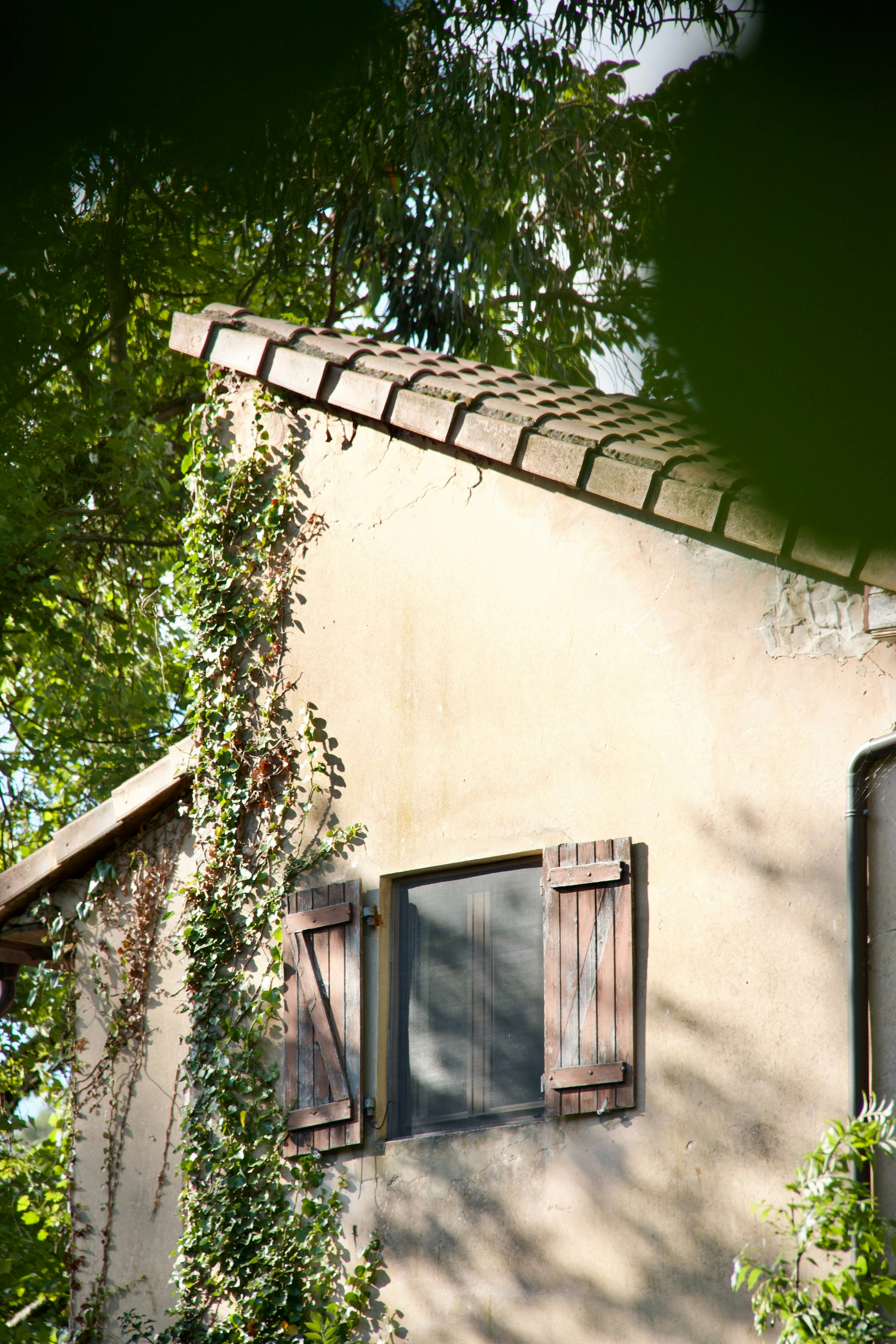 Photo by pablo_saancheezz